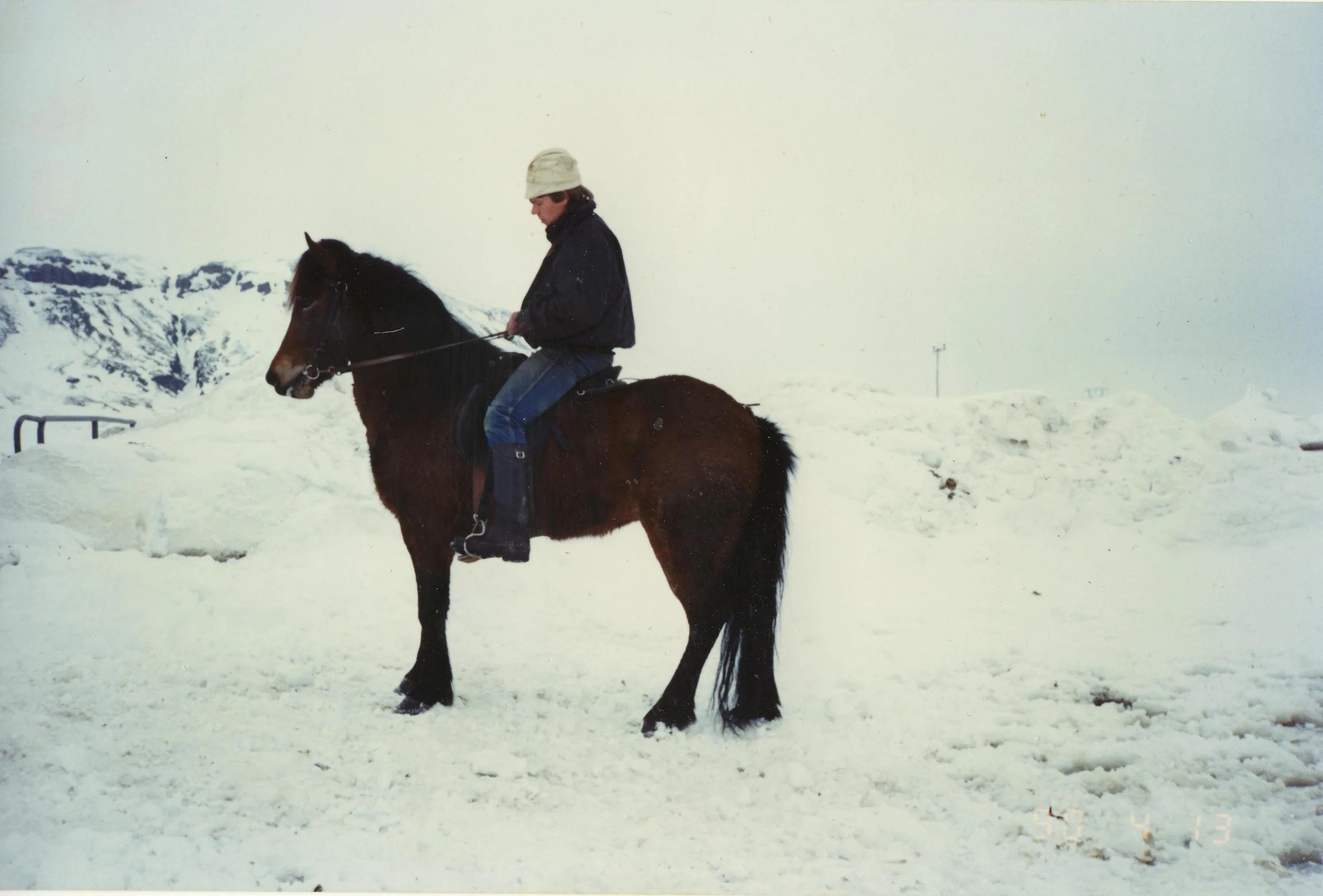 Tign frá Vorsabæ II (7,92) (DECEASED)