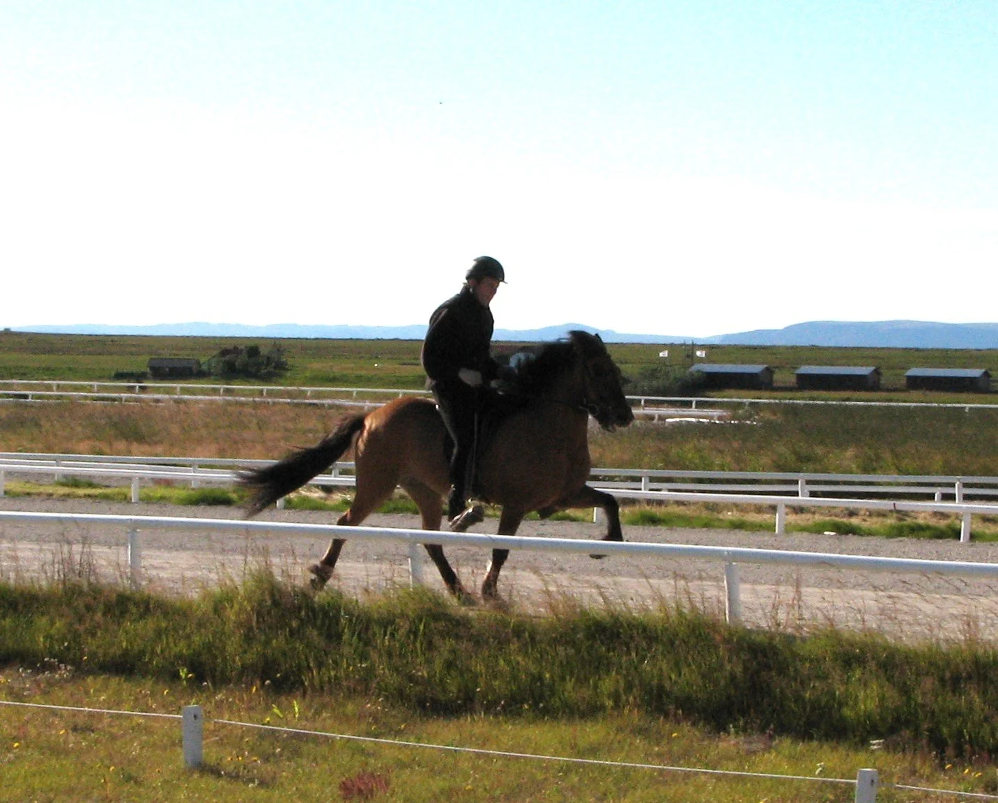 Sigurður Óli Kristinsson riding Hrina