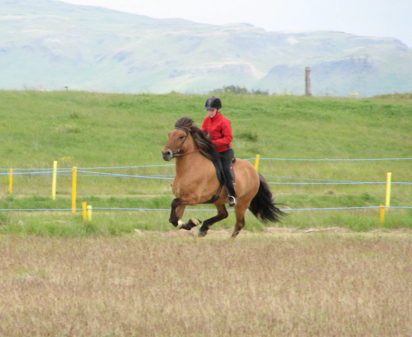 Sigurbjörg Bára riding Hrina