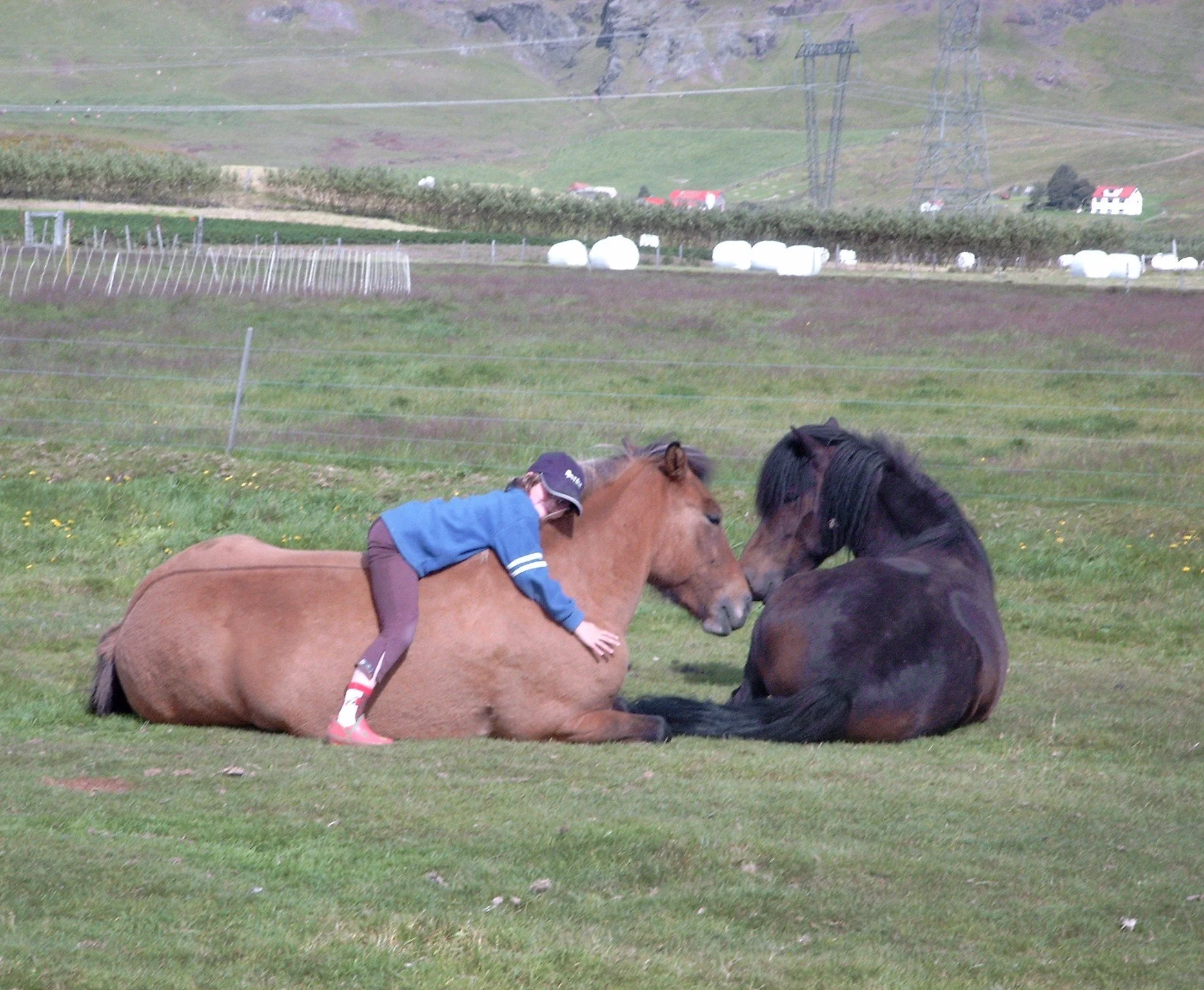 Sigurbjörg Bára on Hrina
