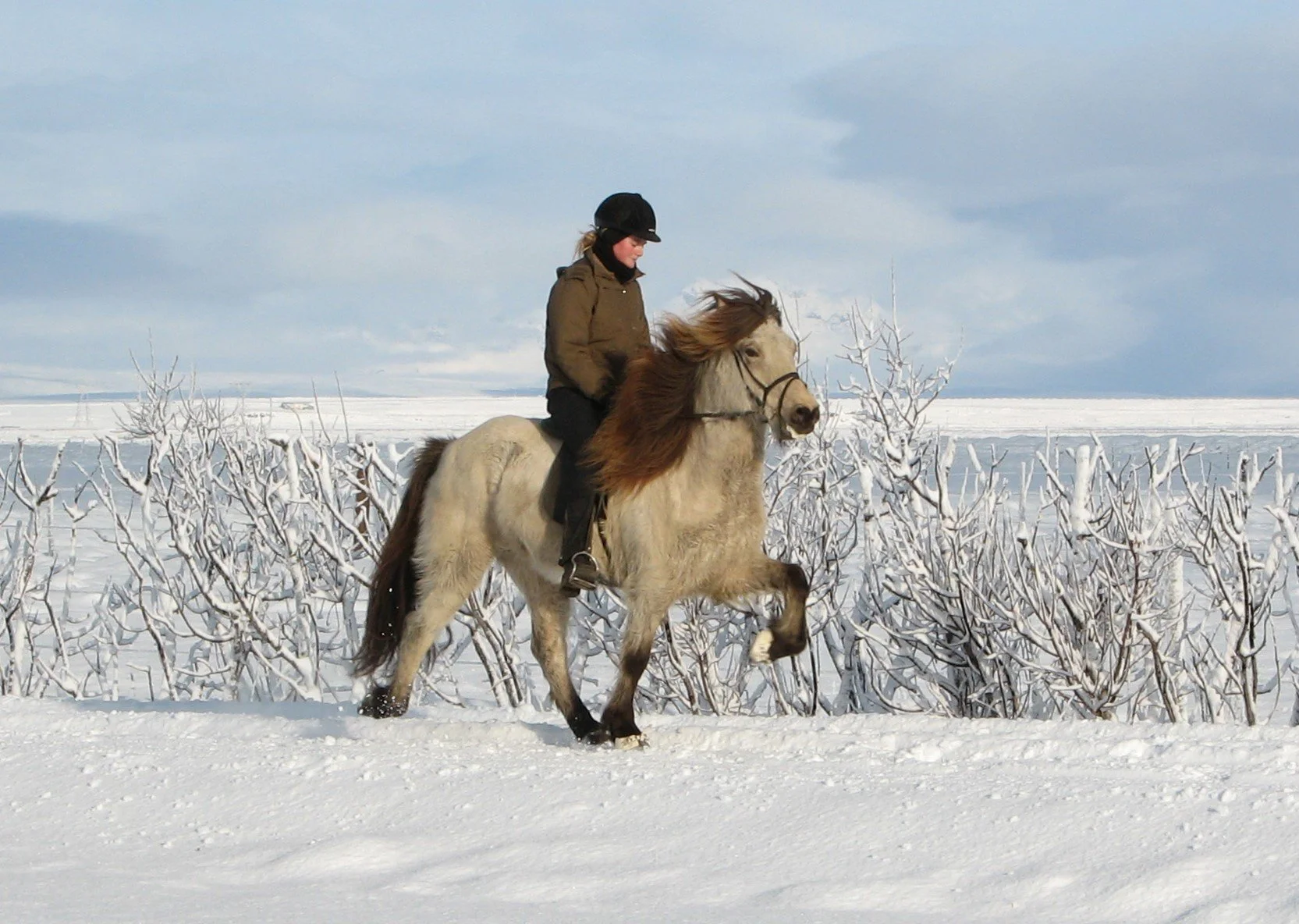 Molda frá Lundi (8,08) (SOLD)