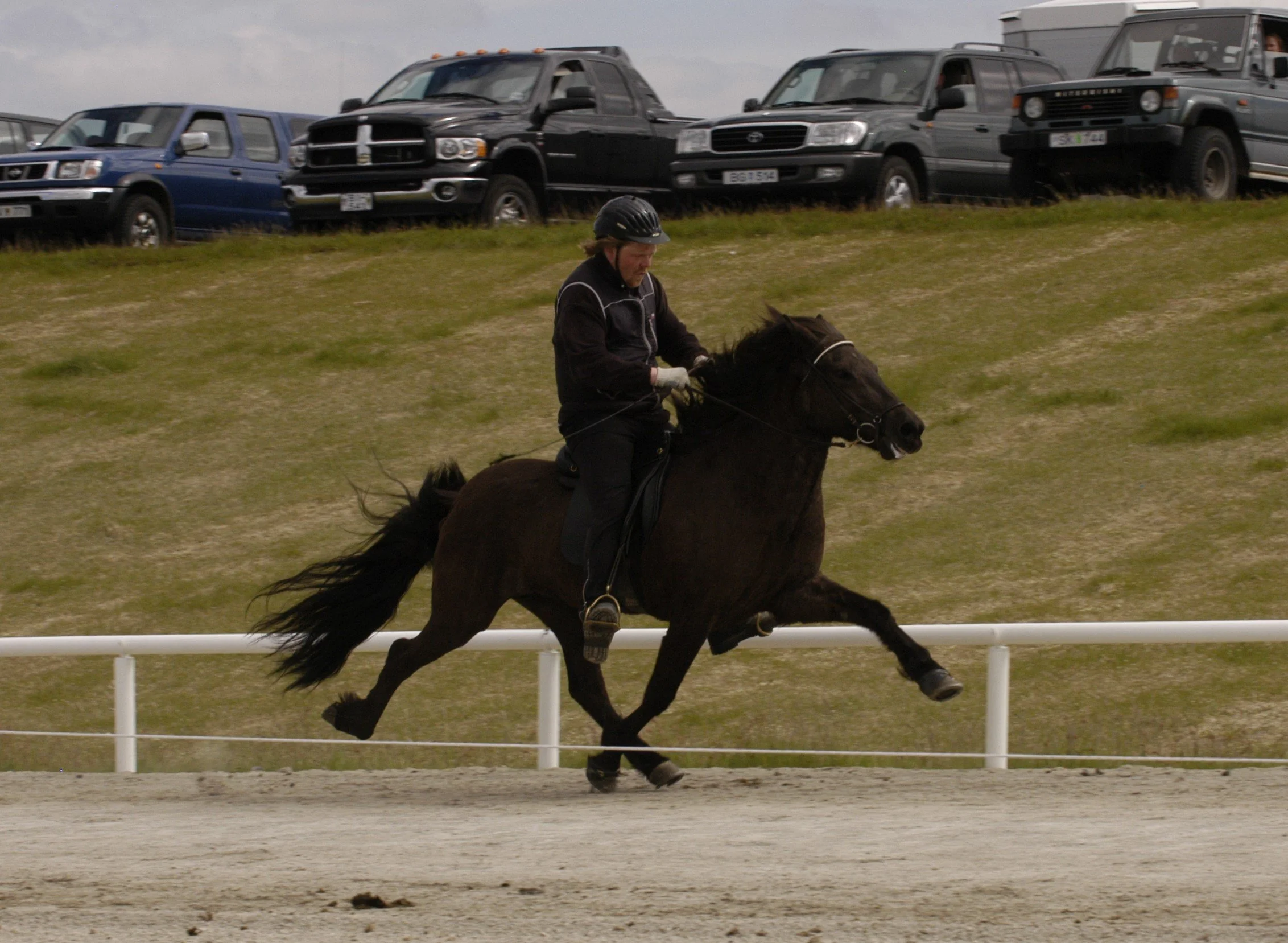 Snerpa frá Vorsabæ II (8,27) (DECEASED)