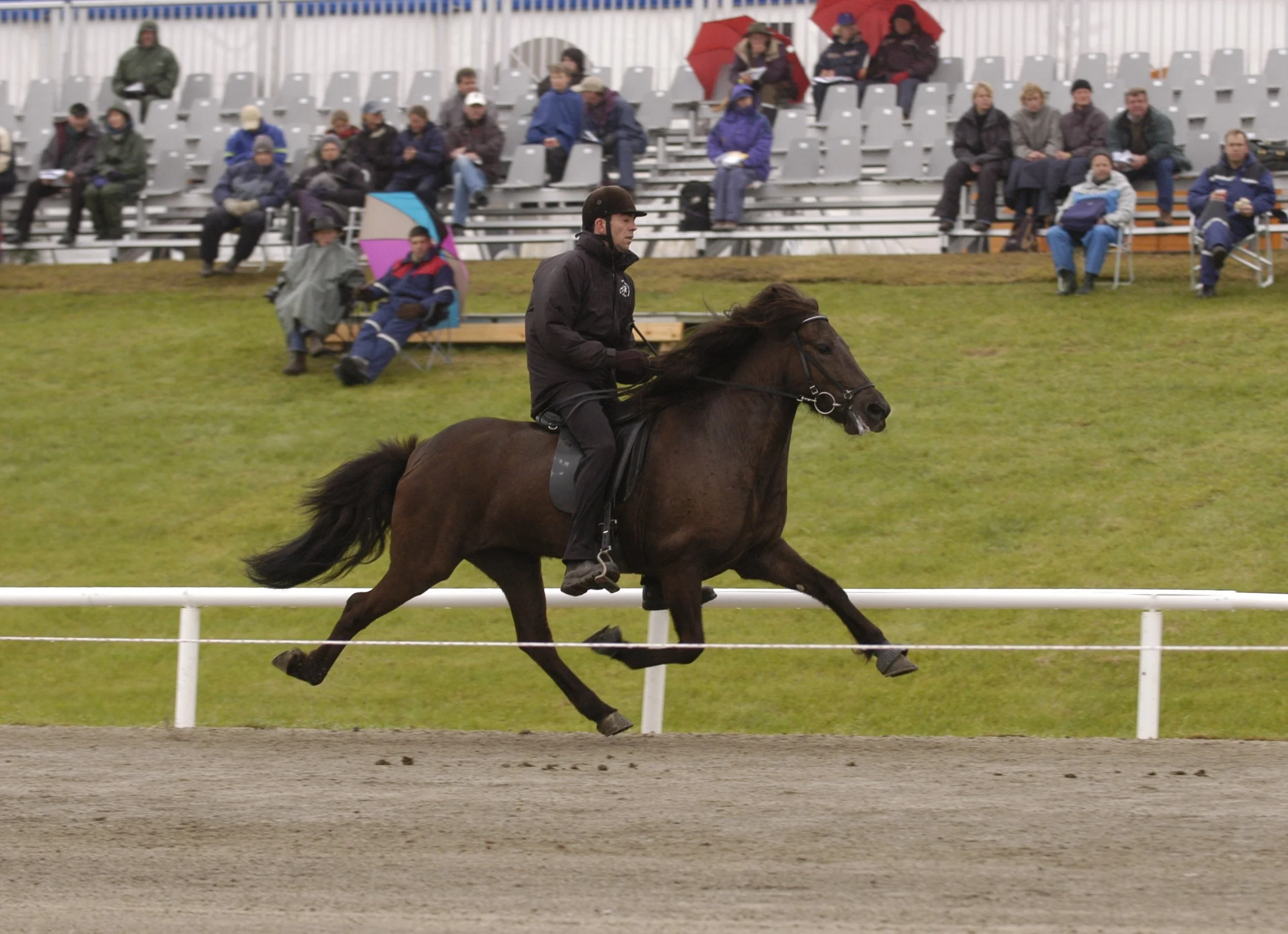 Þorvaldur Á. Þorvaldsson riding Snerpa