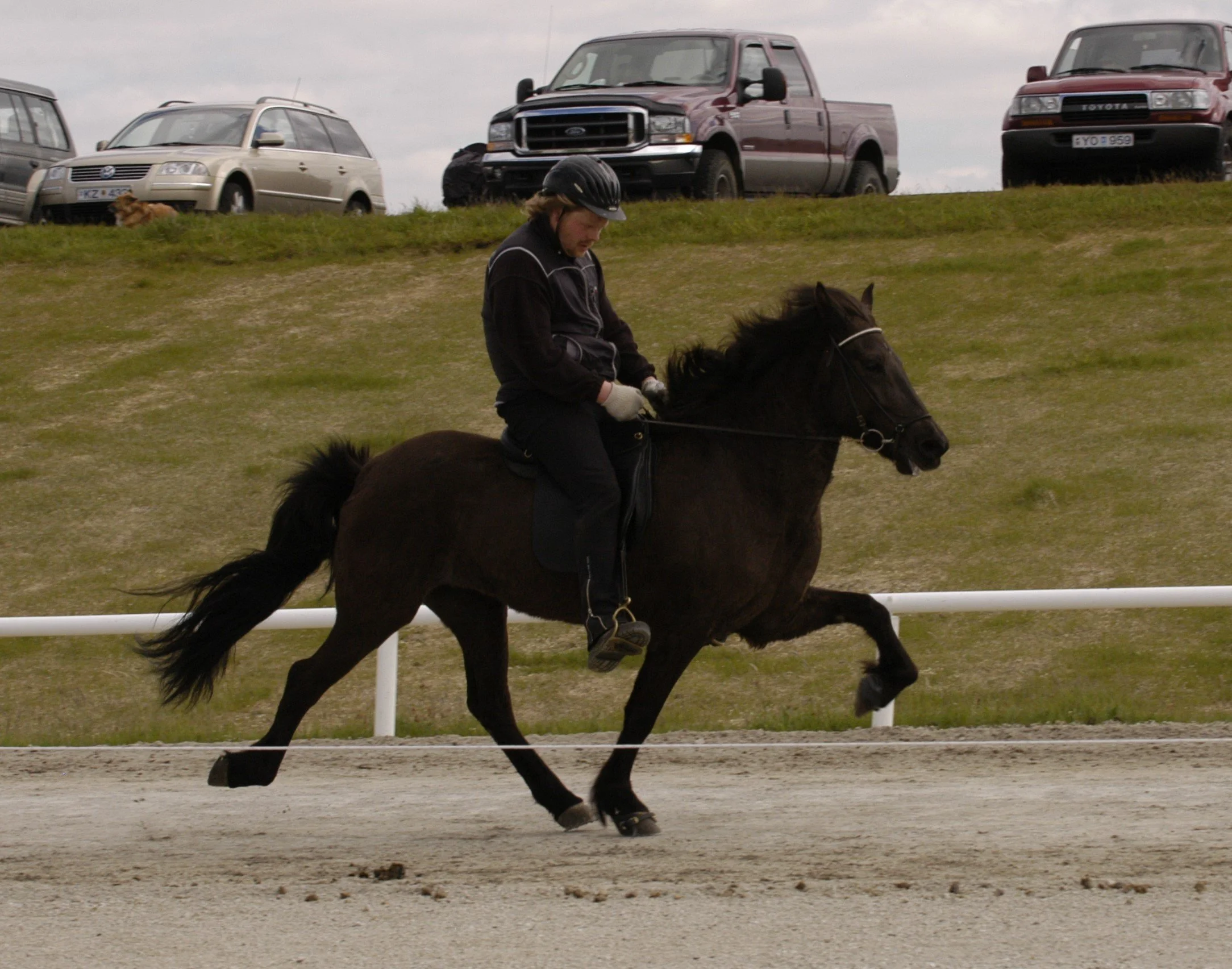Daníel Jónsson riding Snerpa
