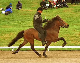 Forseti frá Vorsabæ II (8,58)