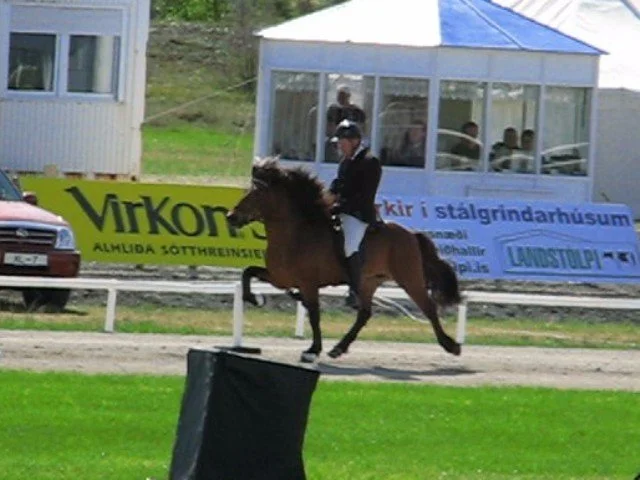 Daníel Jónsson riding Forseti