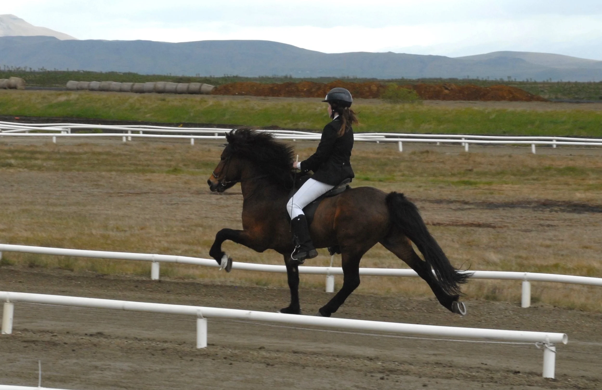 Sigurbjörg Bára riding Forseti