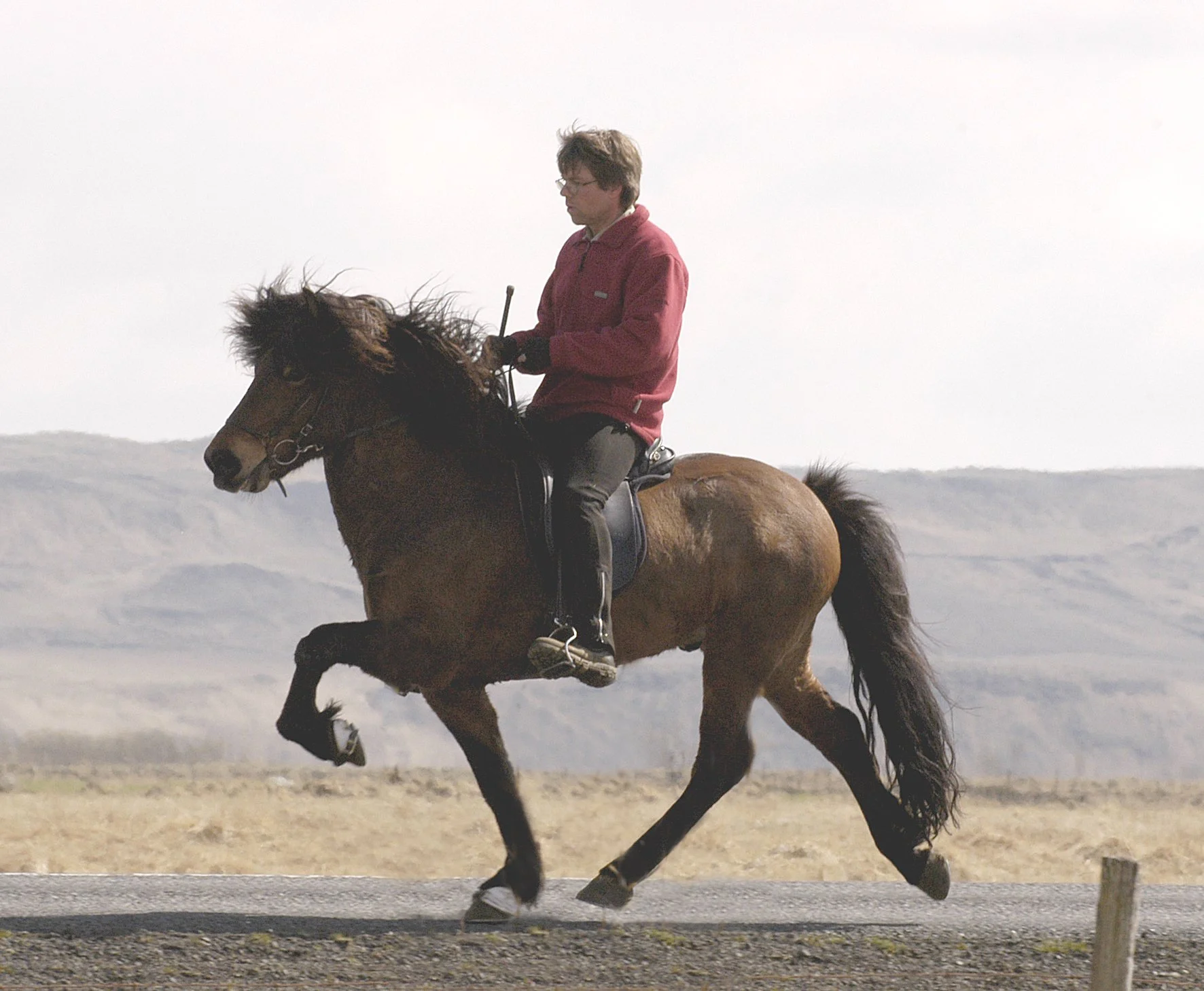 Björn Jónsson riding Forseti