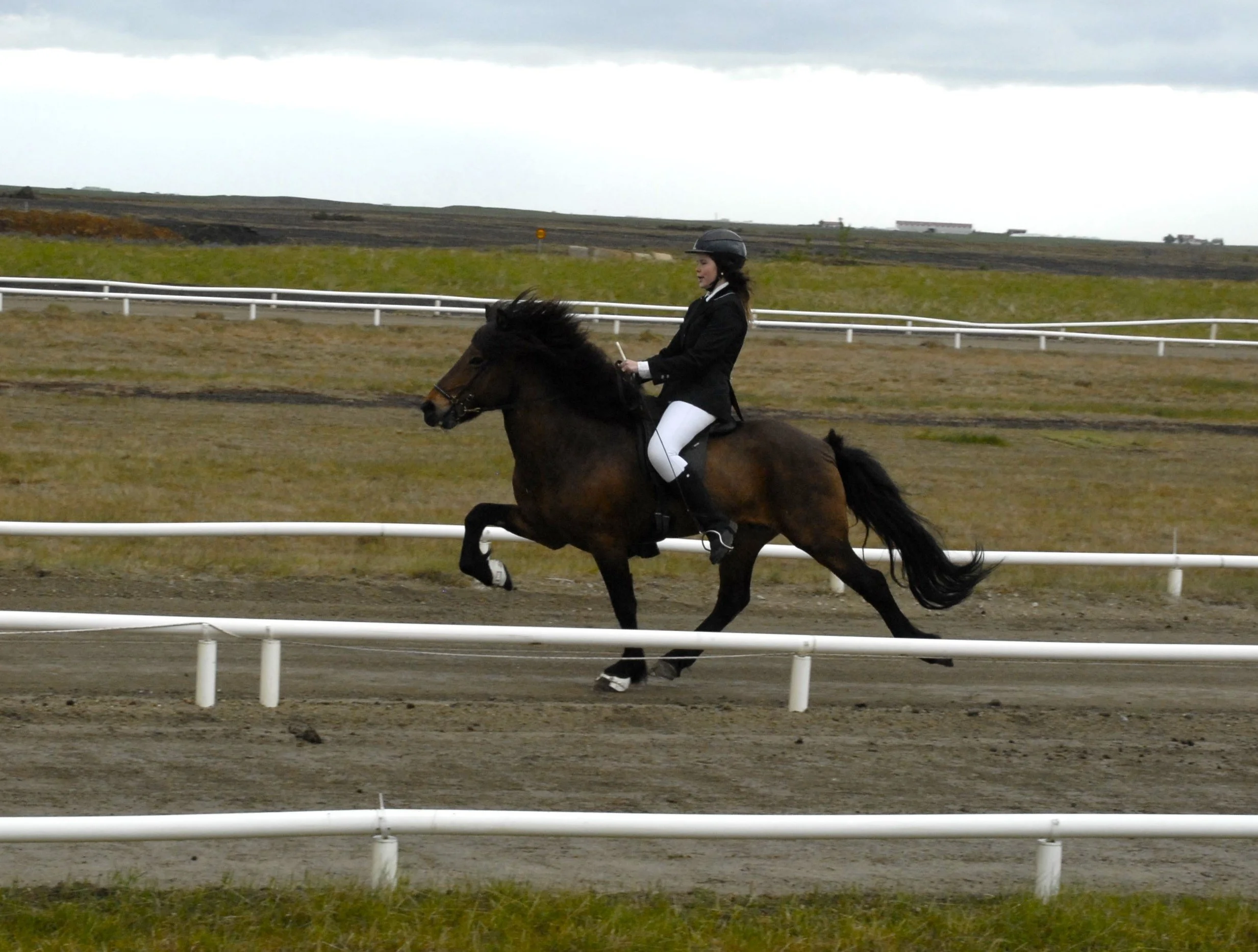 Sigurbjörg Bára riding Forseti