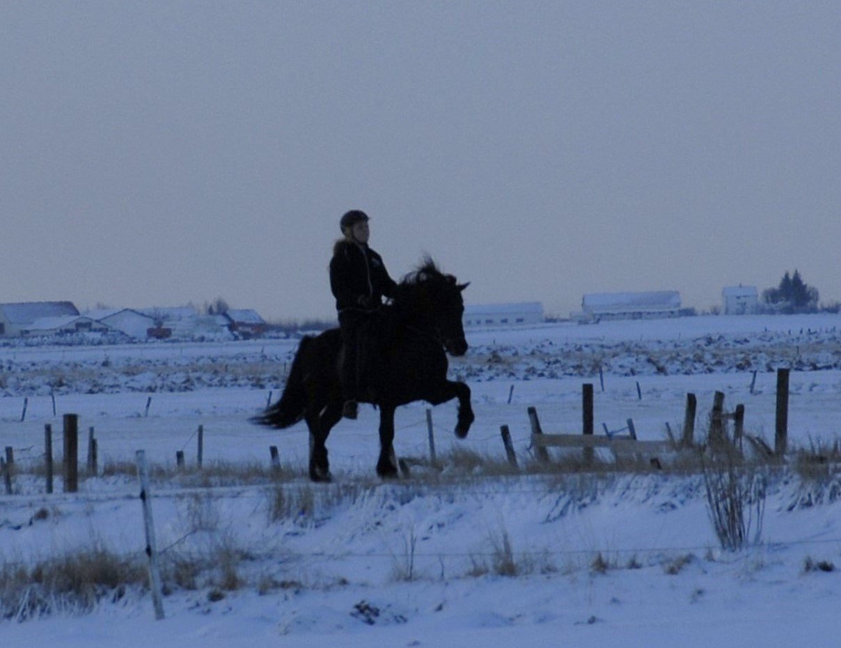 Frida riding Hreyfill when 4 years old