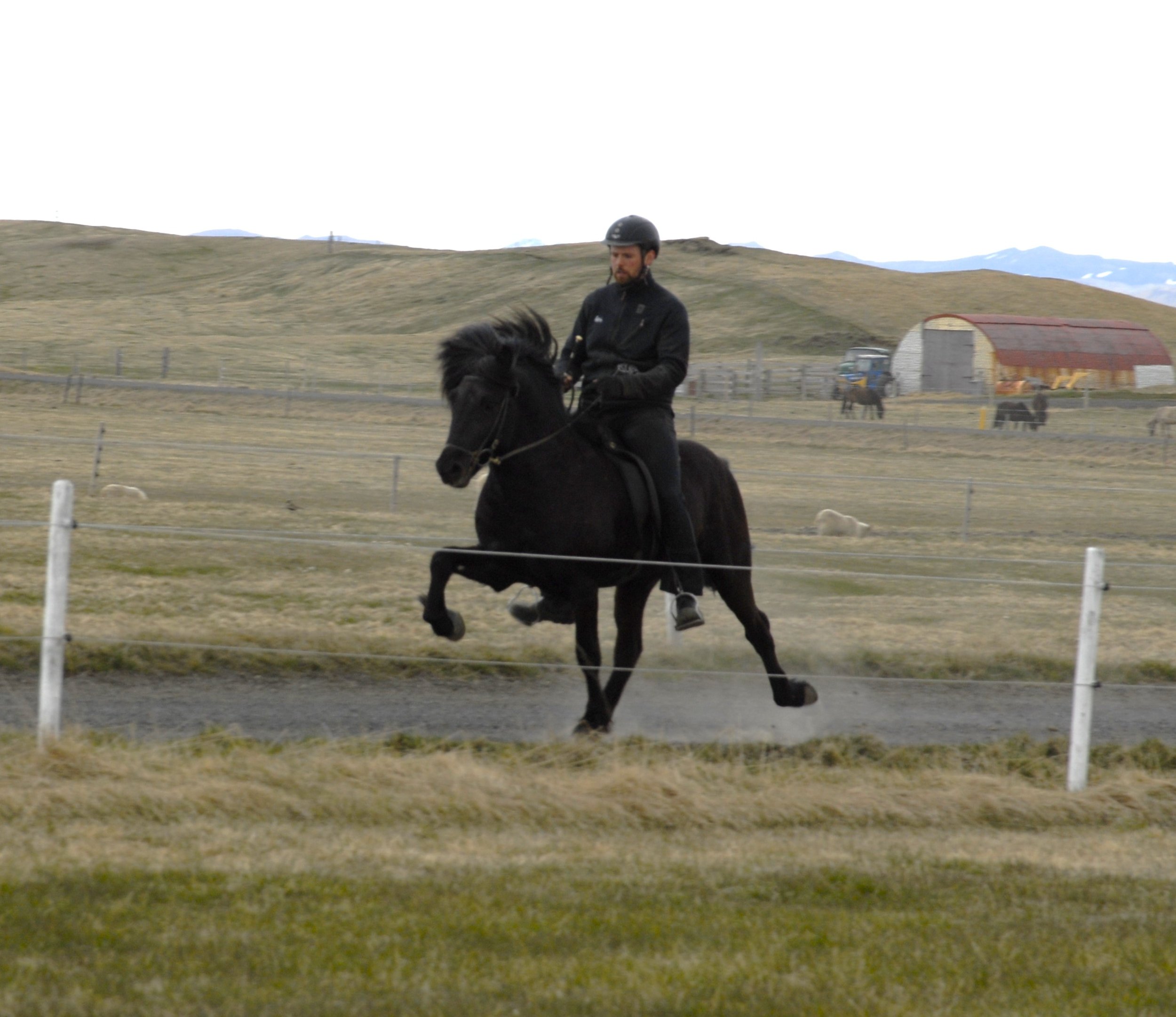 Jóhann K. Ragnarsson riding Hreyfill when 4 years old