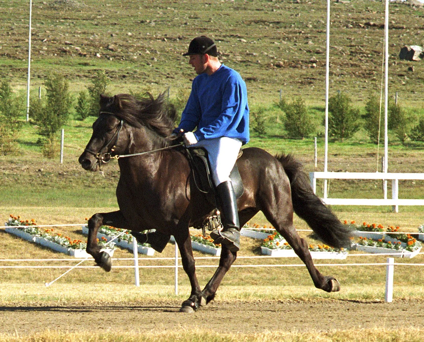 Snjall frá Vorsabæ II (8,31) (SOLD)