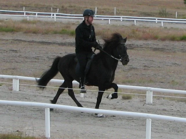 Sigurbjörn Bárðarson riding Snjall in 2006