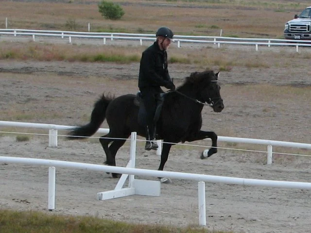 Sigurbjörn Bárðarson riding Snjall in 2006