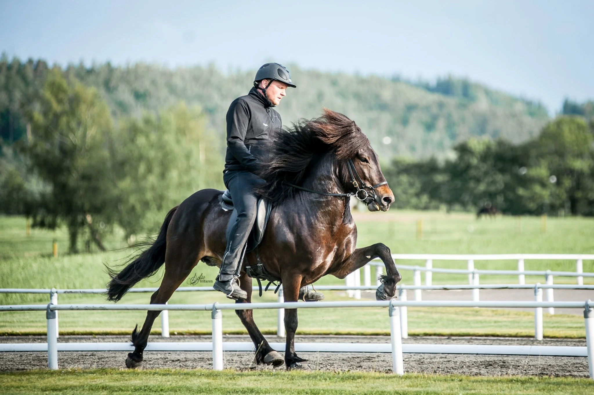 Draumur frá Vorsabæ II (8,49) (SOLD)