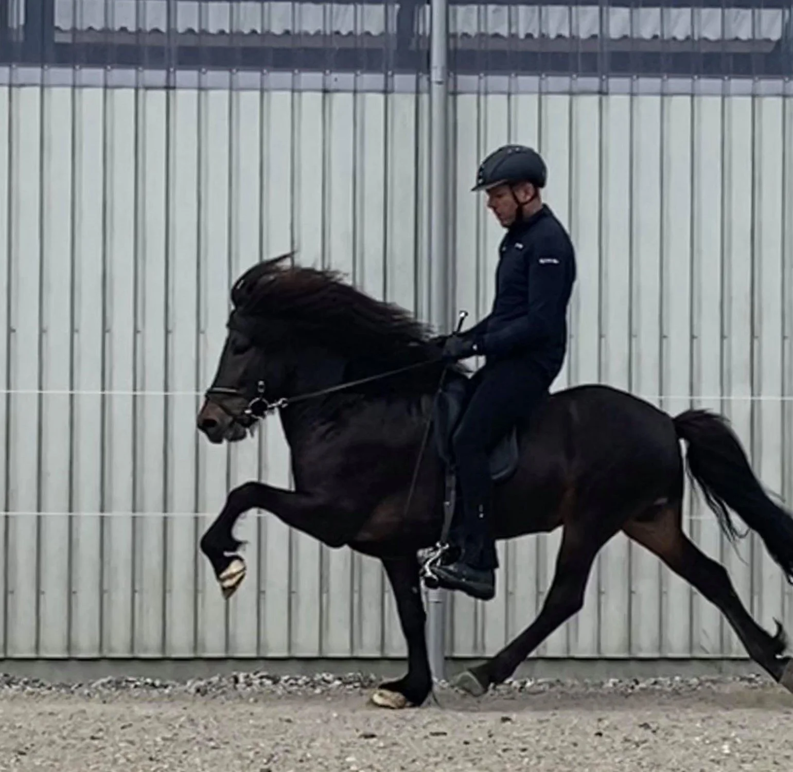 Sigurður Óli Kristinsson riding Draumur