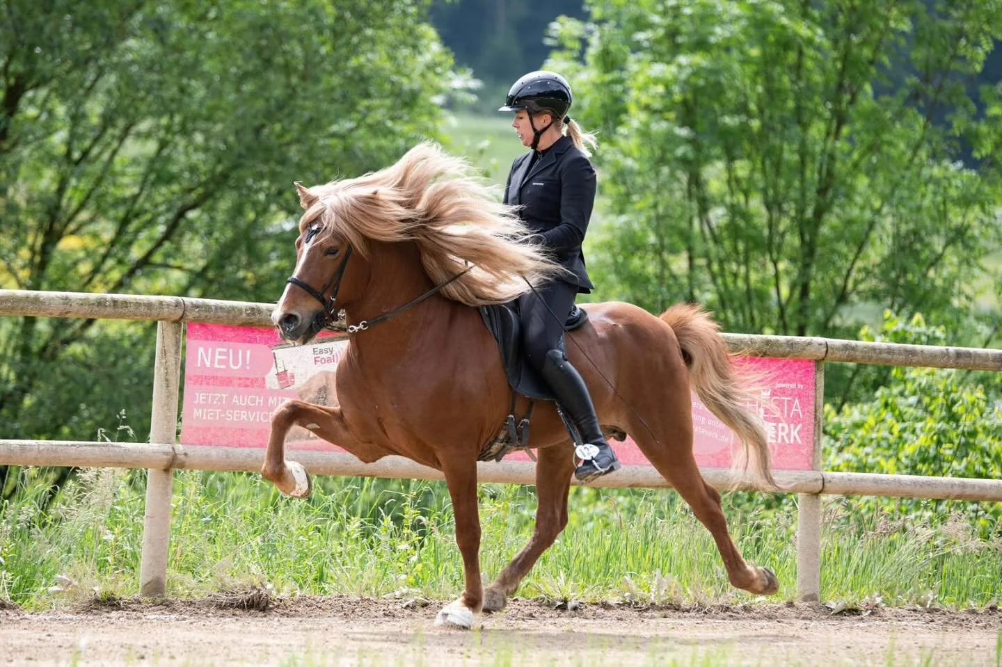 Fylkir frá Vorsabæ II (8,08) (SOLD)