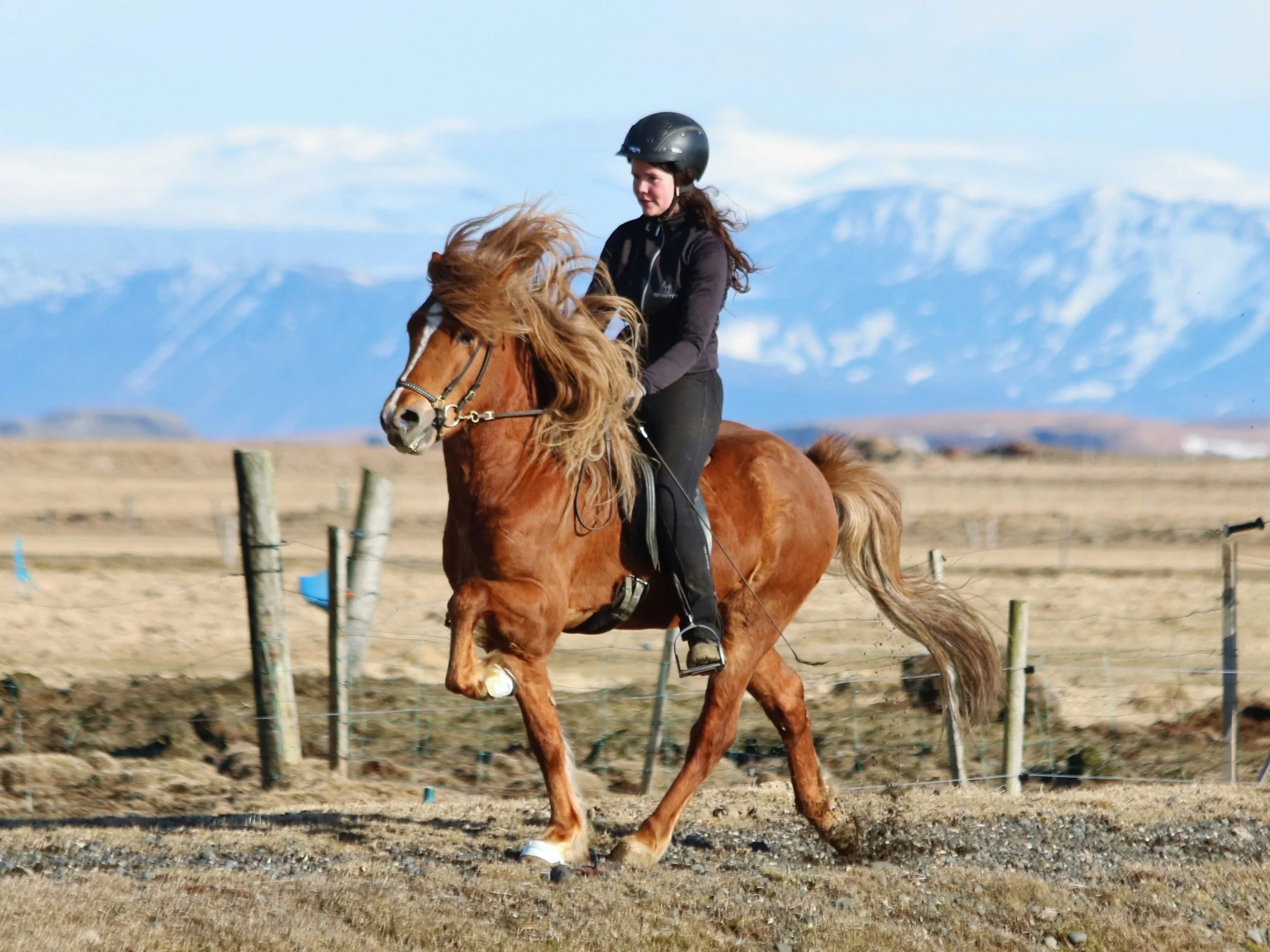 Sigurbjörg Bára Björnsdóttir riding Fylkir when 5 years old