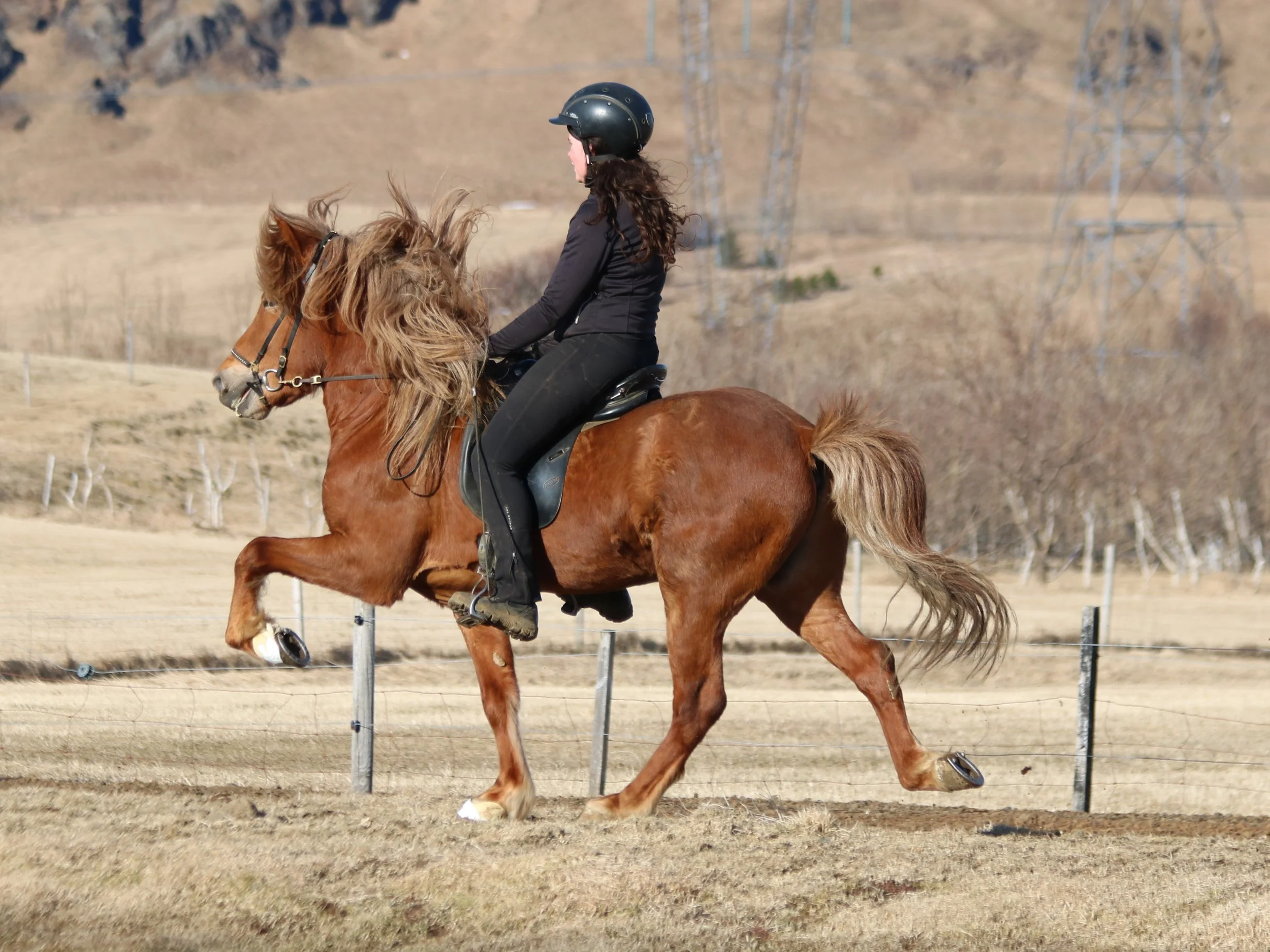 Sigurbjörg Bára Björnsdóttir riding Fylkir when 5 years old