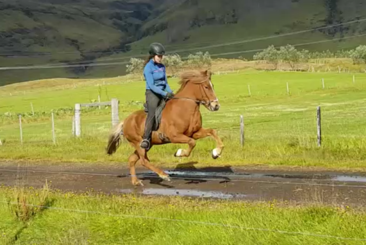 Sigurbjörg Bára Björnsdóttir riding Fylkir when 5 years old