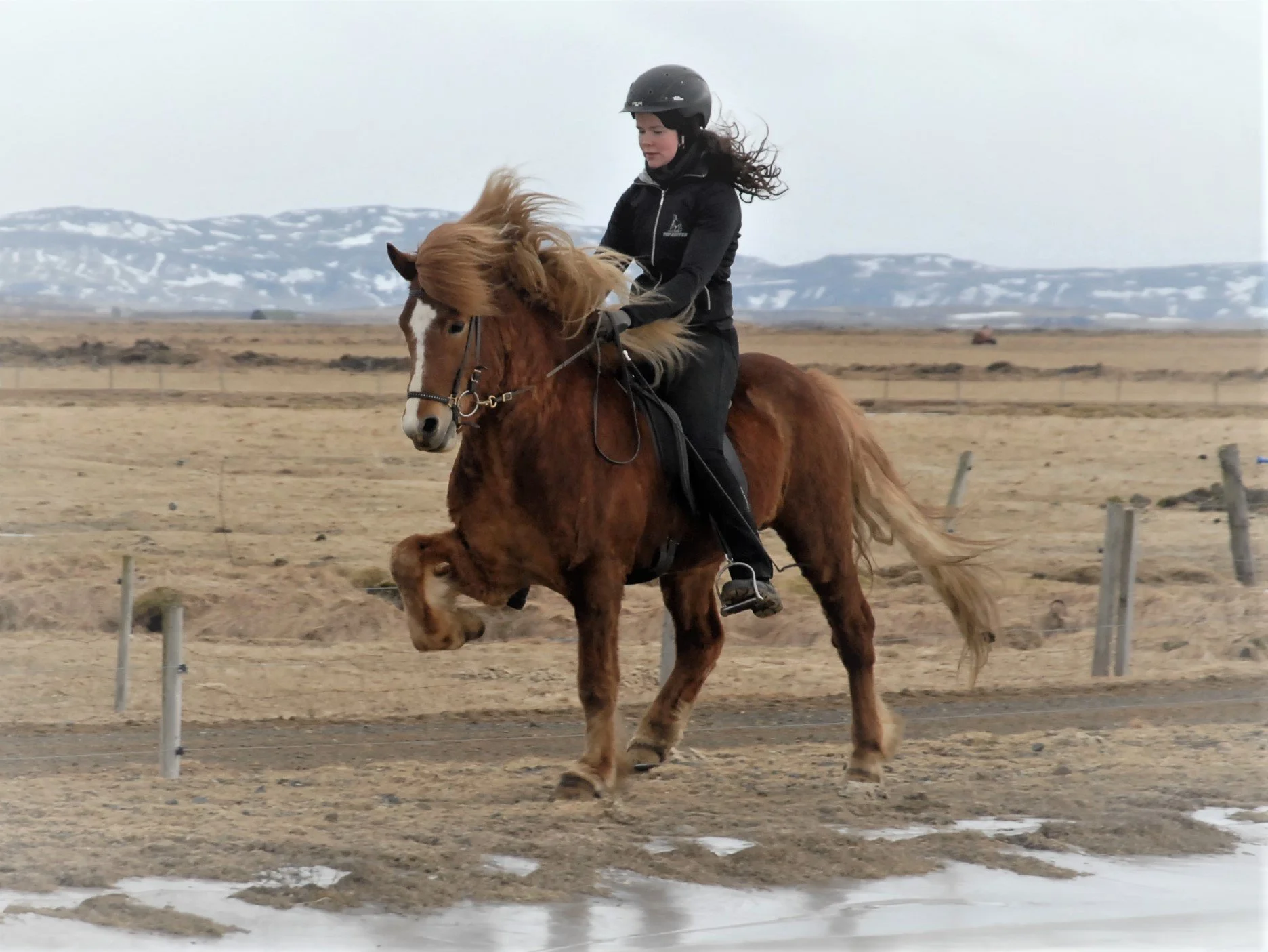 Sigurbjörg Bára Björnsdóttir riding Ganti when 4 years old