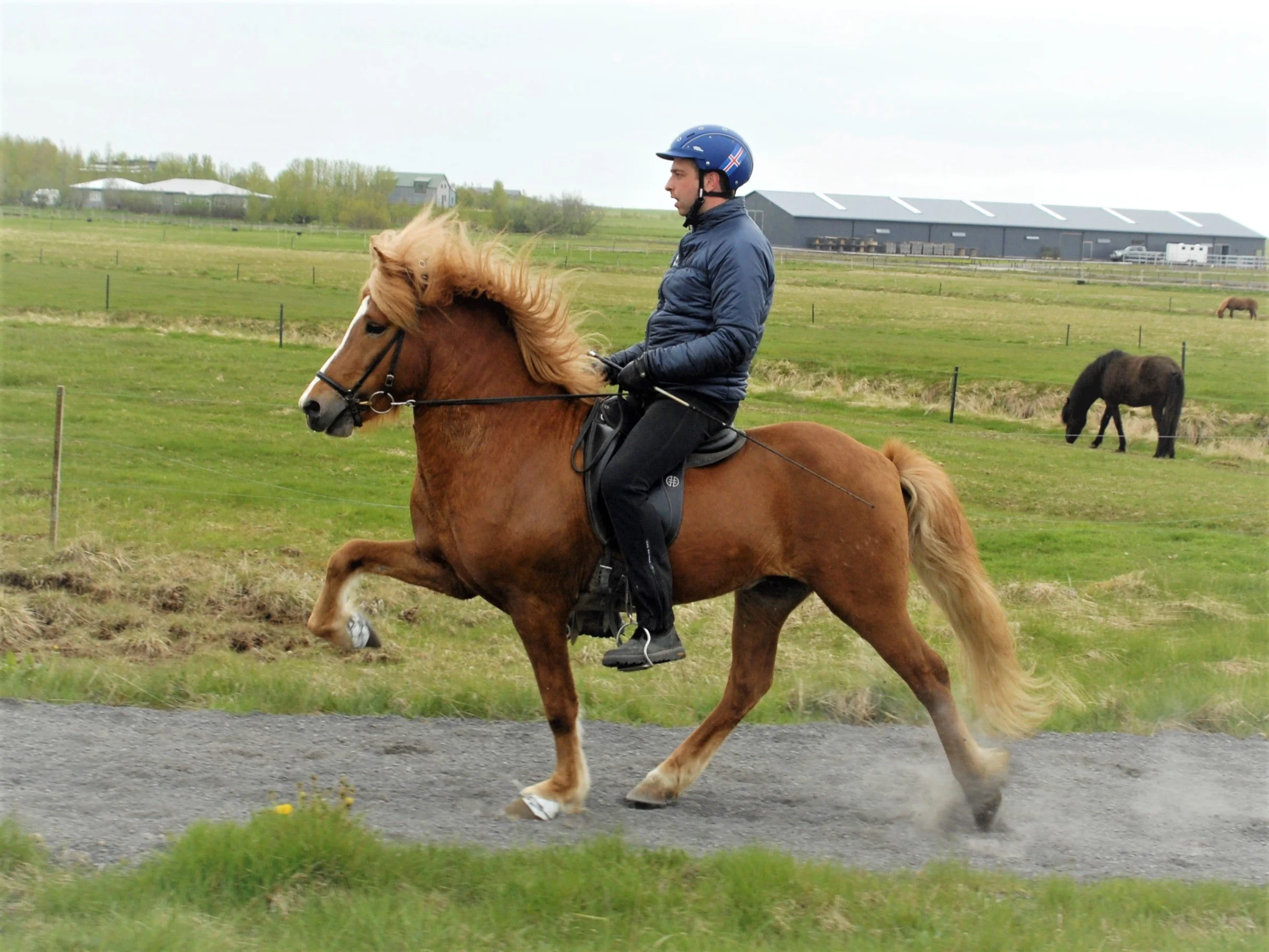 Viðar Ingólfsson riding Ganti when 5 years old