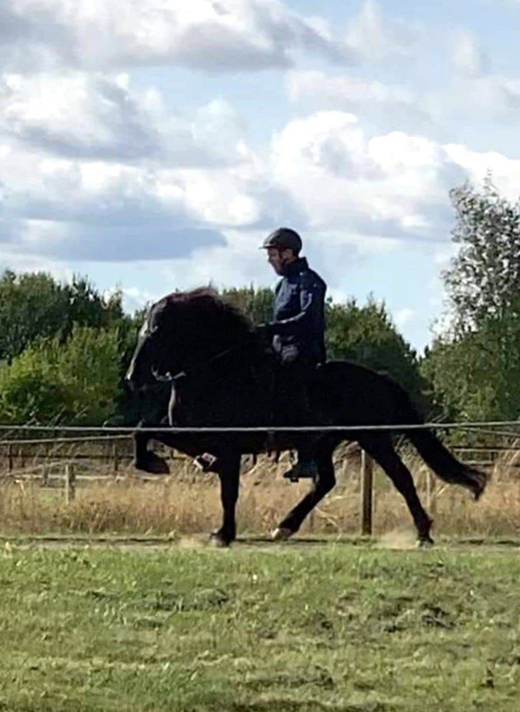 Naskur frá Vorsabæ II (8,03) (SOLD)