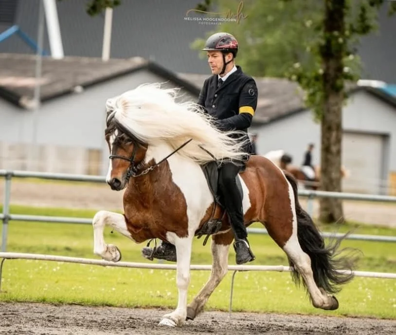 Kjarkur frá Vorsabæ II (8,09) (SOLD)