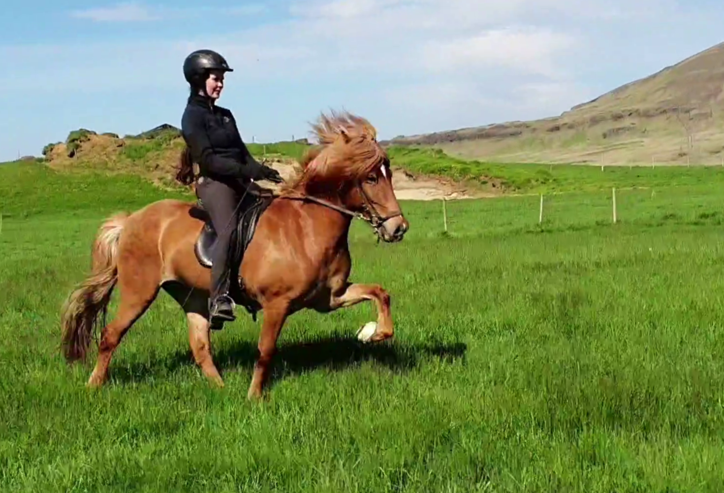 Blúnda frá Vorsabæ II