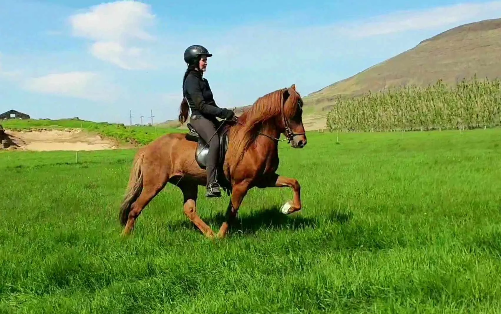 Vörður frá Vorsabæ II