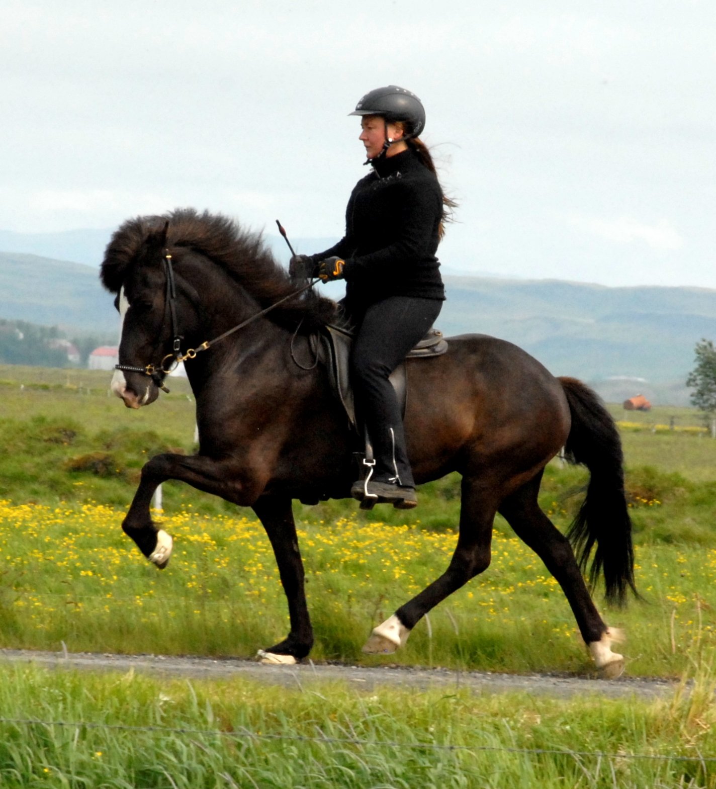 Birna frá Vorsabæ II (SOLD)