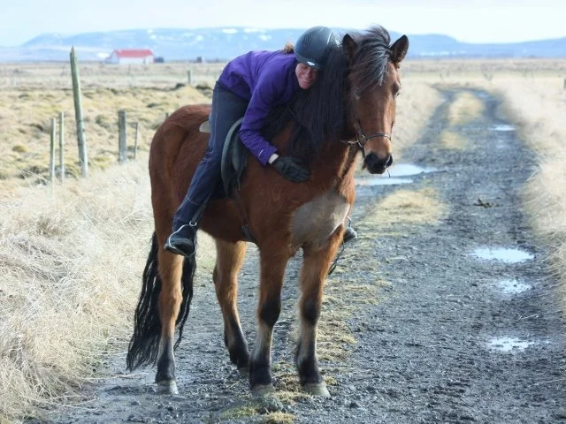 Emma frá Vorsabæ II (SOLD)