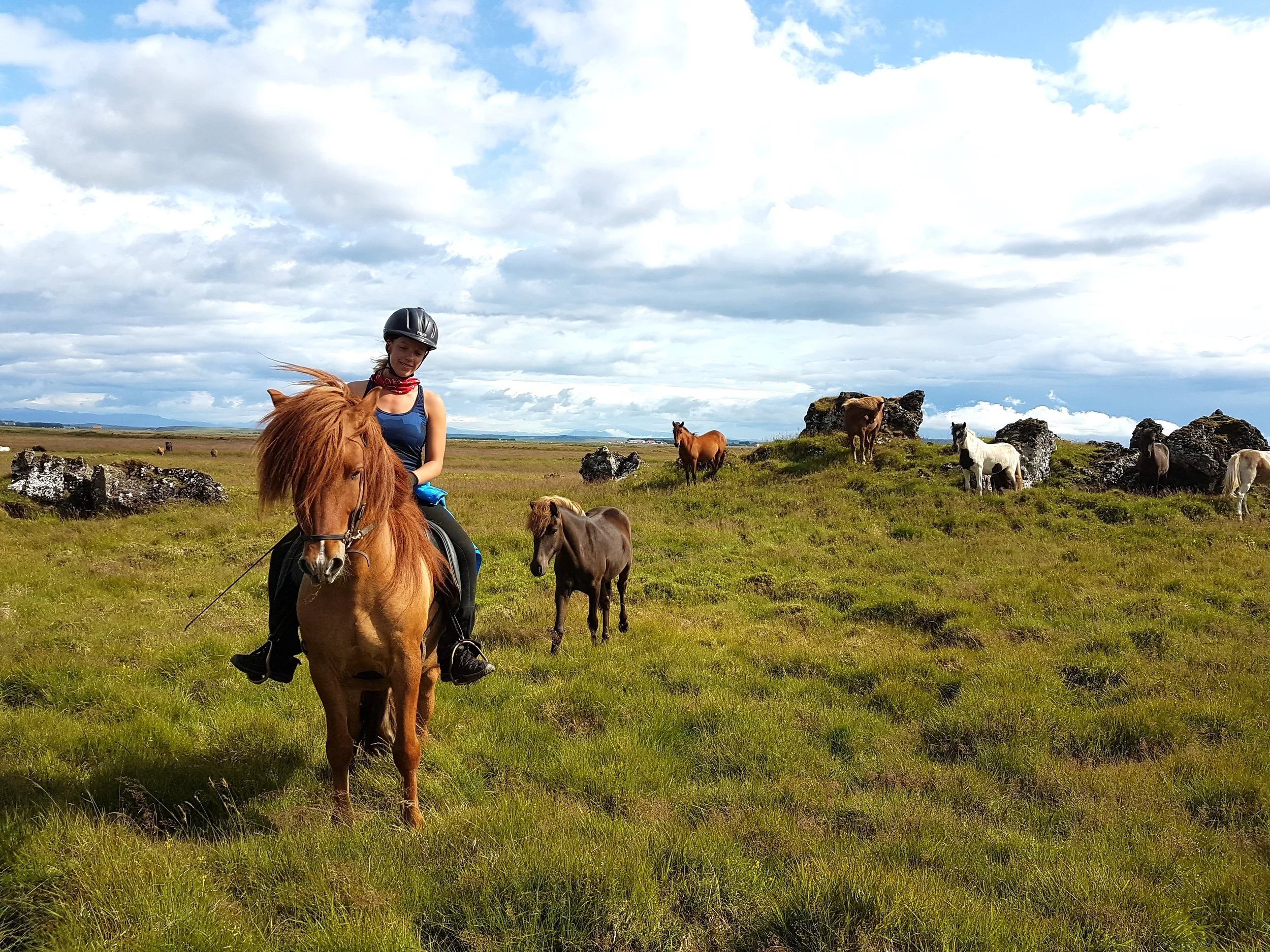 Private 3-Hour Horseback Riding Tour