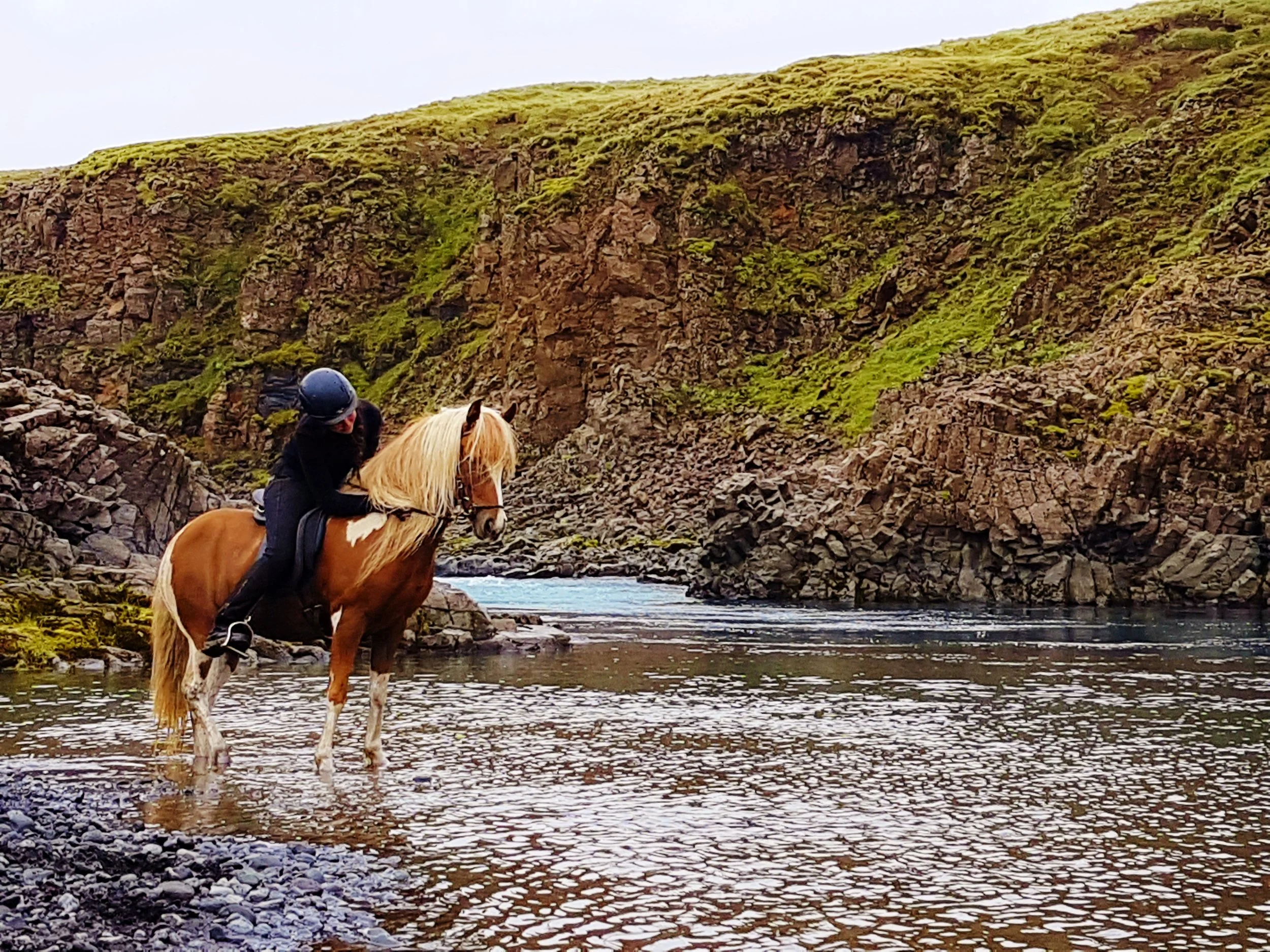 Horseback riding in South Iceland on an Icelandic horse near Selfoss