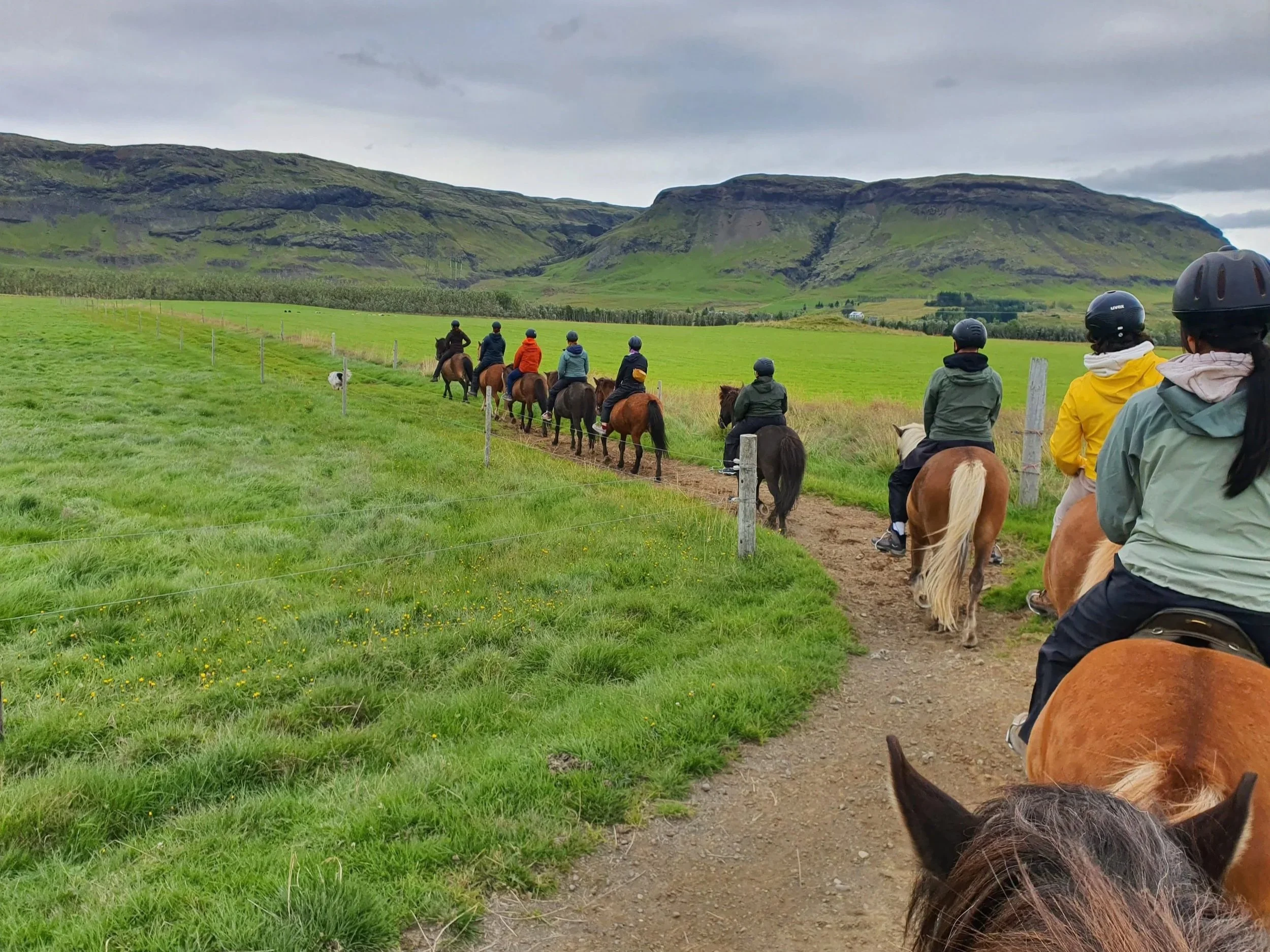 Small-Group 1-Hour Horseback Riding Tour