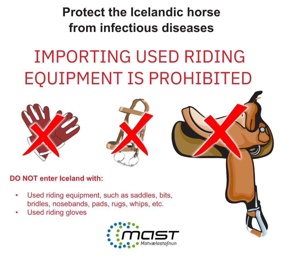 Horseback riding tours in Iceland, Horse riding Golden Circle, Horseback riding for children, Icelandic horse tours, Riding tours Iceland by the river and lava, Day tours Iceland, Guided horse tours, Icelandic countryside tours, Best tours in Iceland