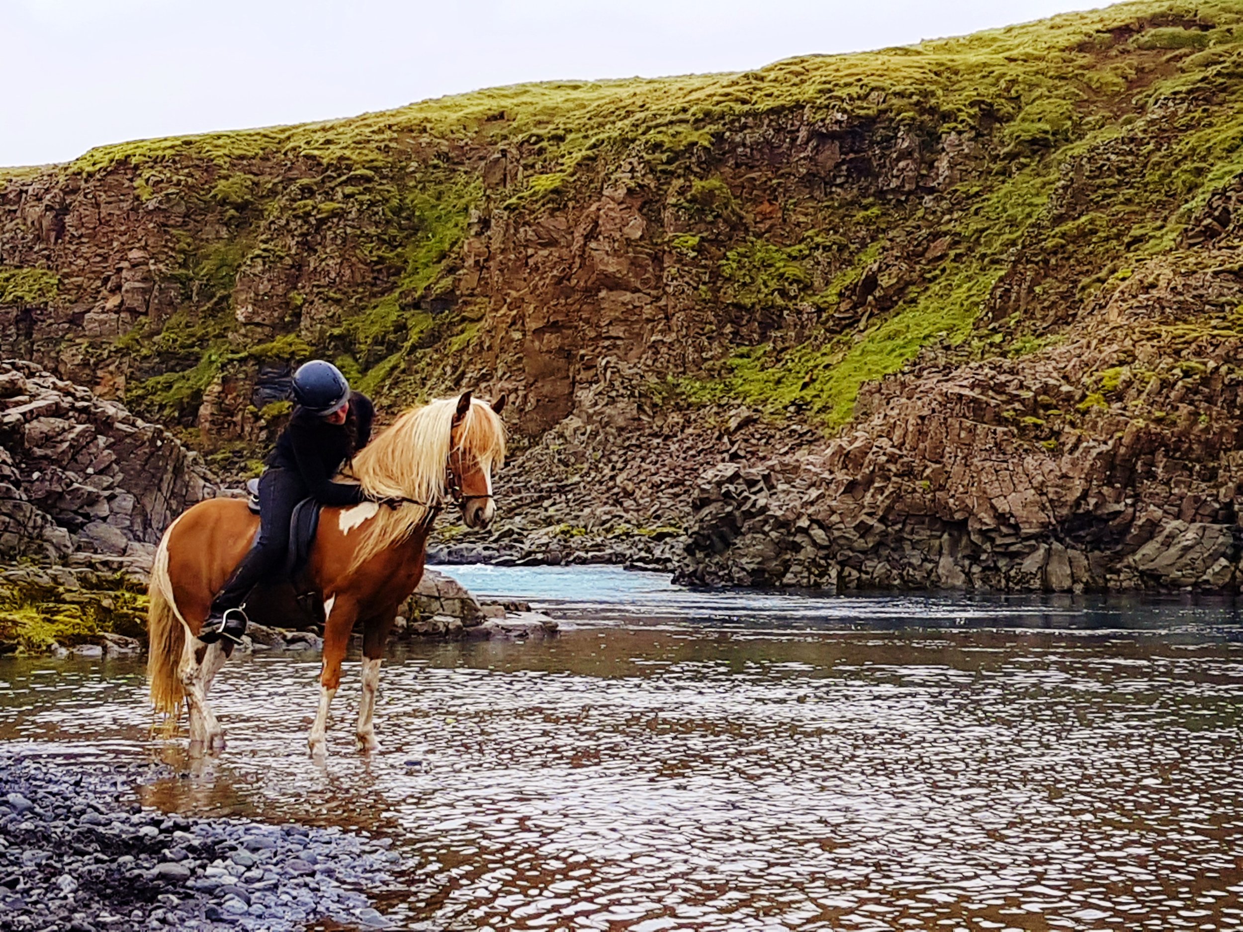 Horseback riding tours in Iceland, Horse riding Golden Circle, Horseback riding for children, Icelandic horse tours, Riding tours Iceland by the river and lava, Day tours Iceland, Guided horse tours, Icelandic countryside tours, Best tours in Iceland