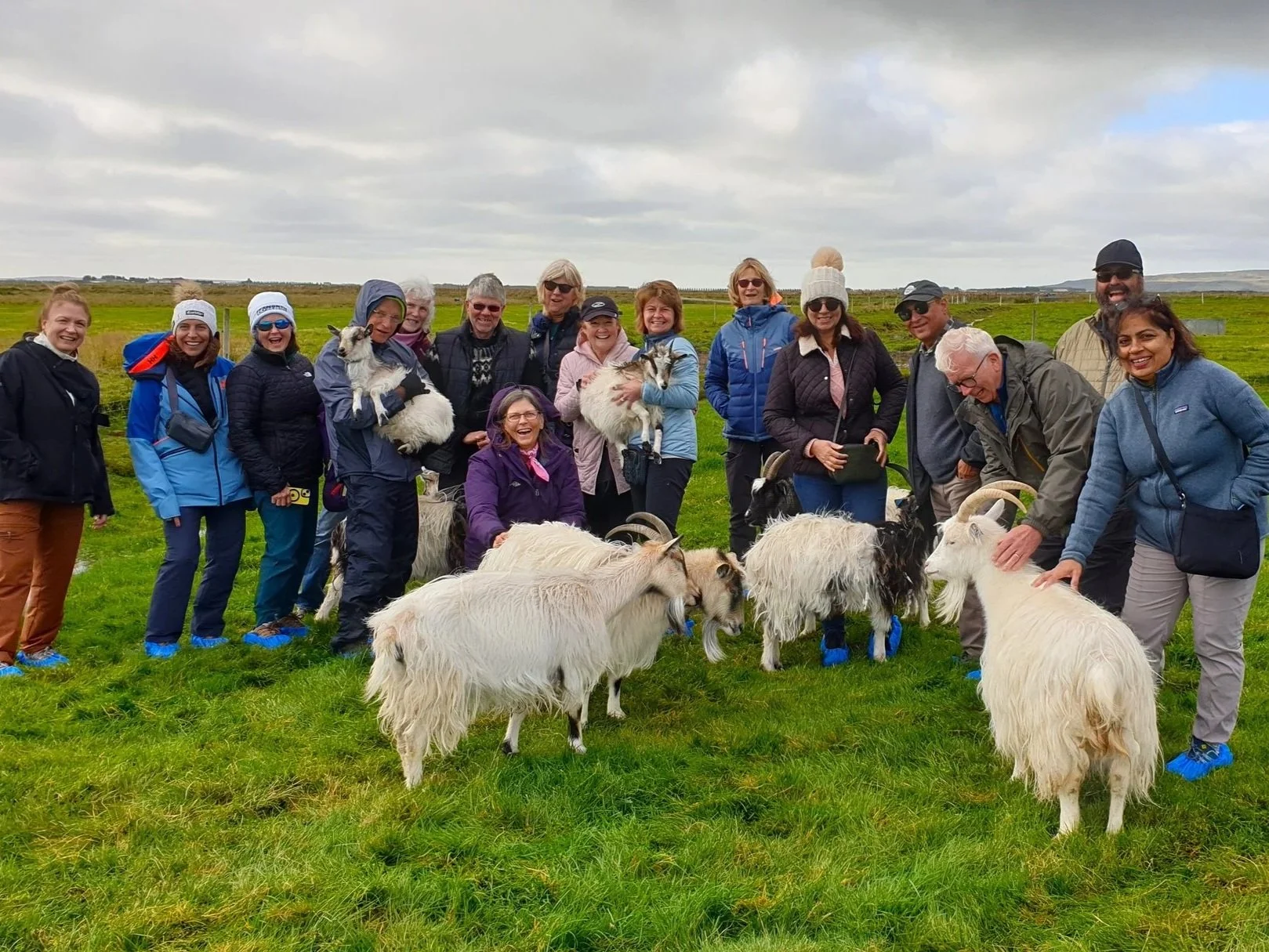 Farm Visit at Vorsabær II