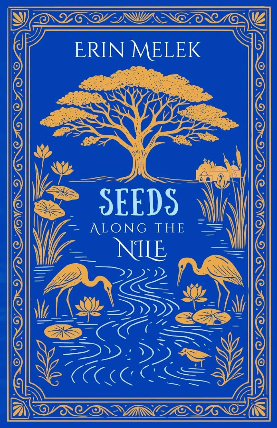 Seeds Along the Nile By Erin Melek