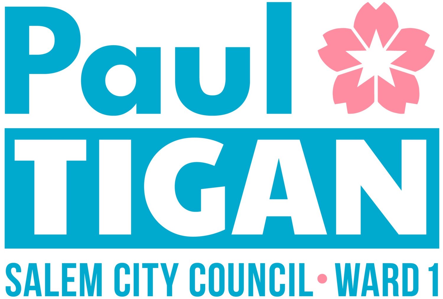 Paul Tigan for Ward 1 City Council