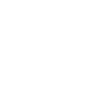 Logo nero e bianco con la scritta "BRUNEL" e due corna di cervo stilizzate.