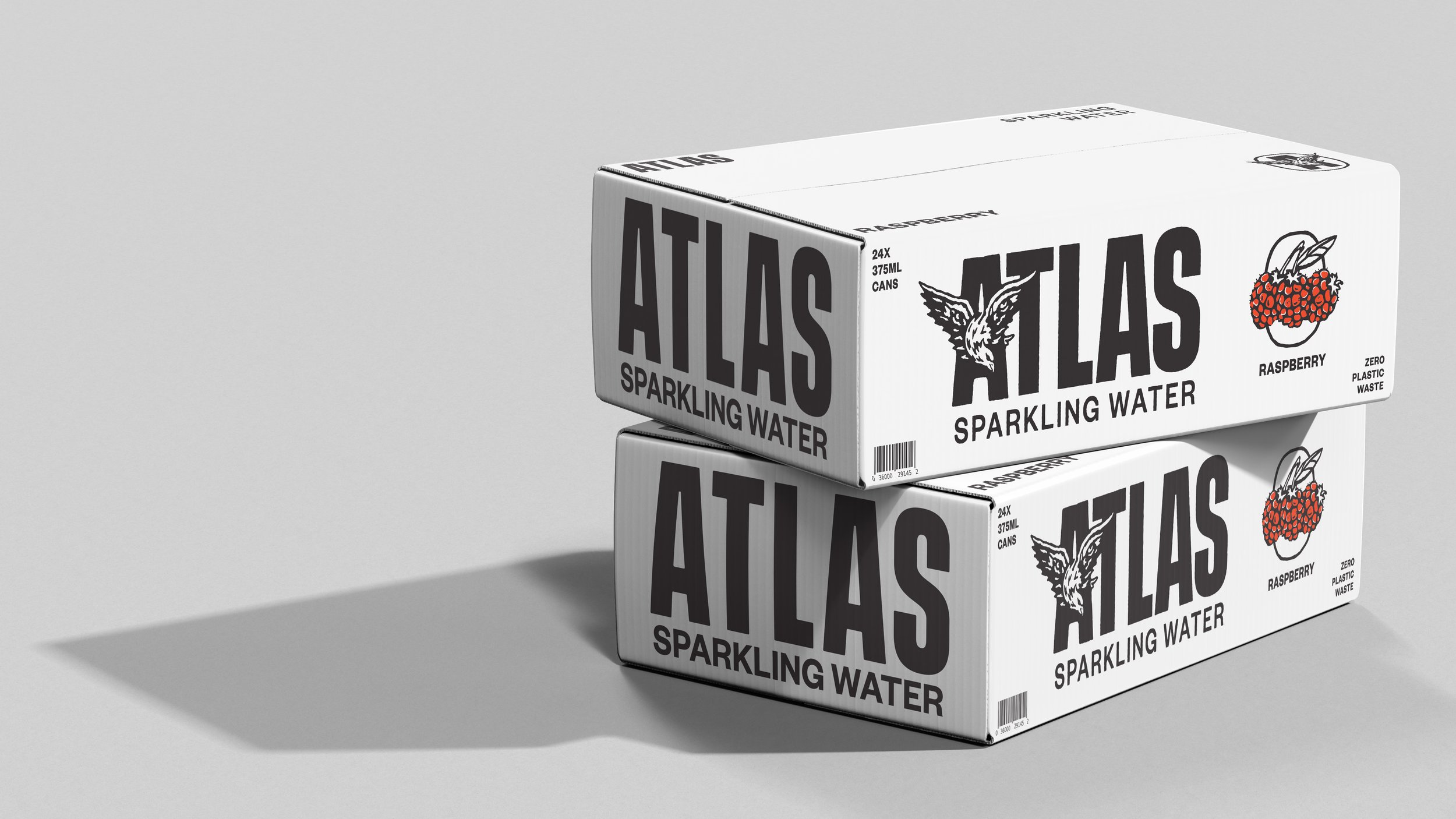 ATLAS2.jpg