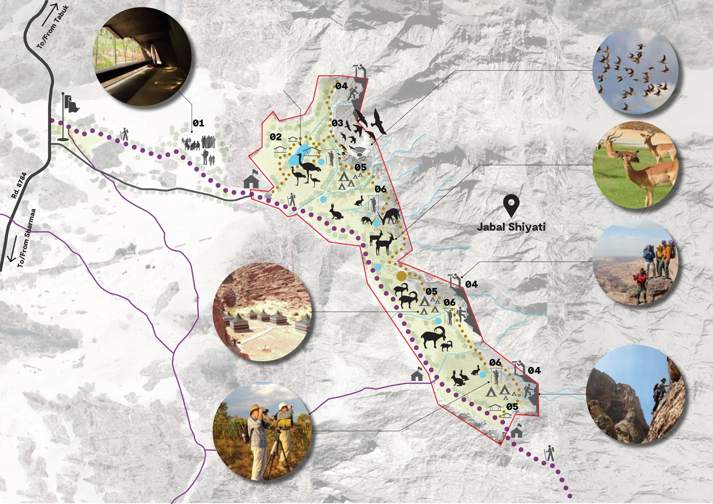 Neom Rewilding Project.jpg