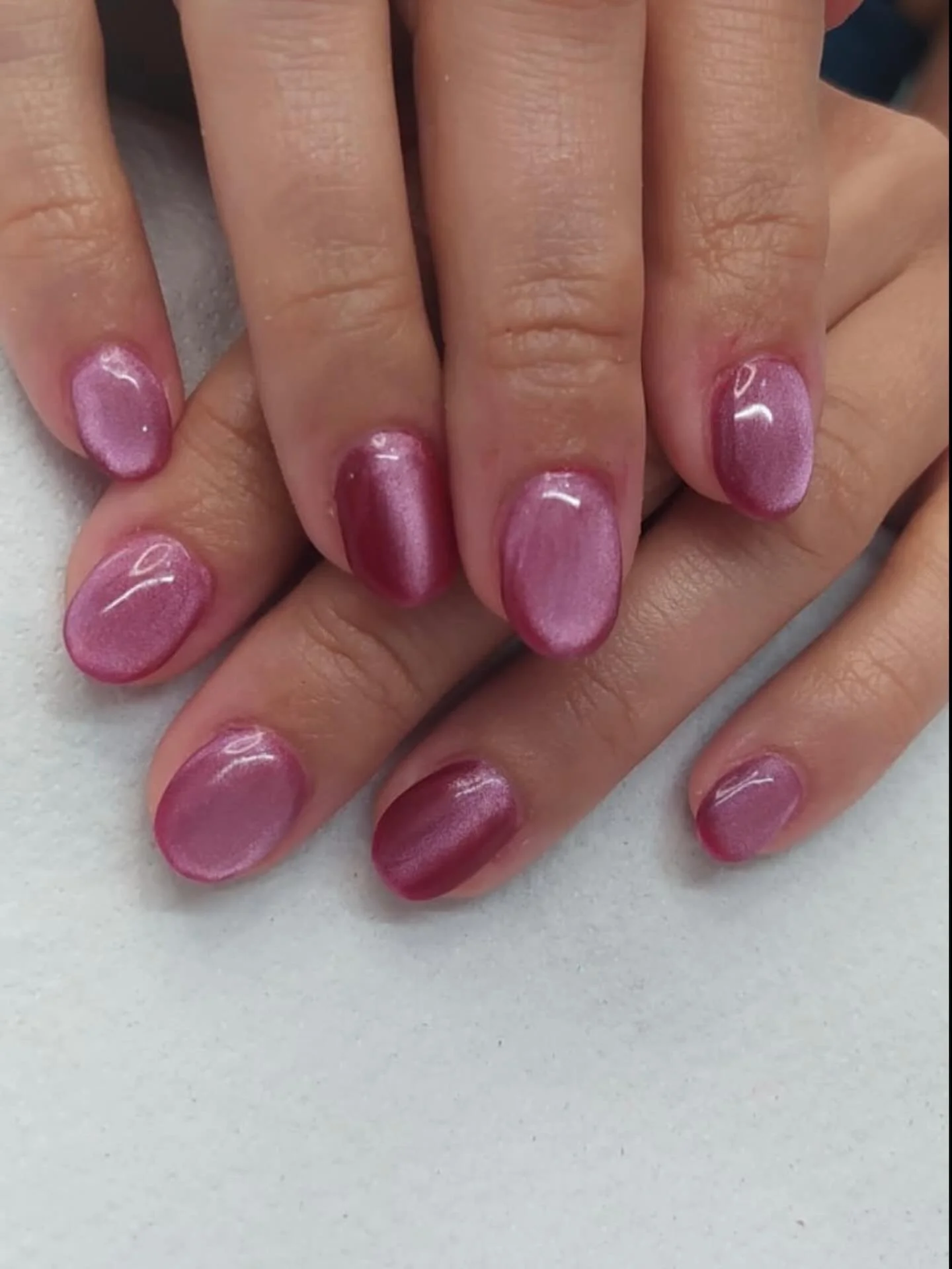 reminder: cat eye colors always free of charge 💗