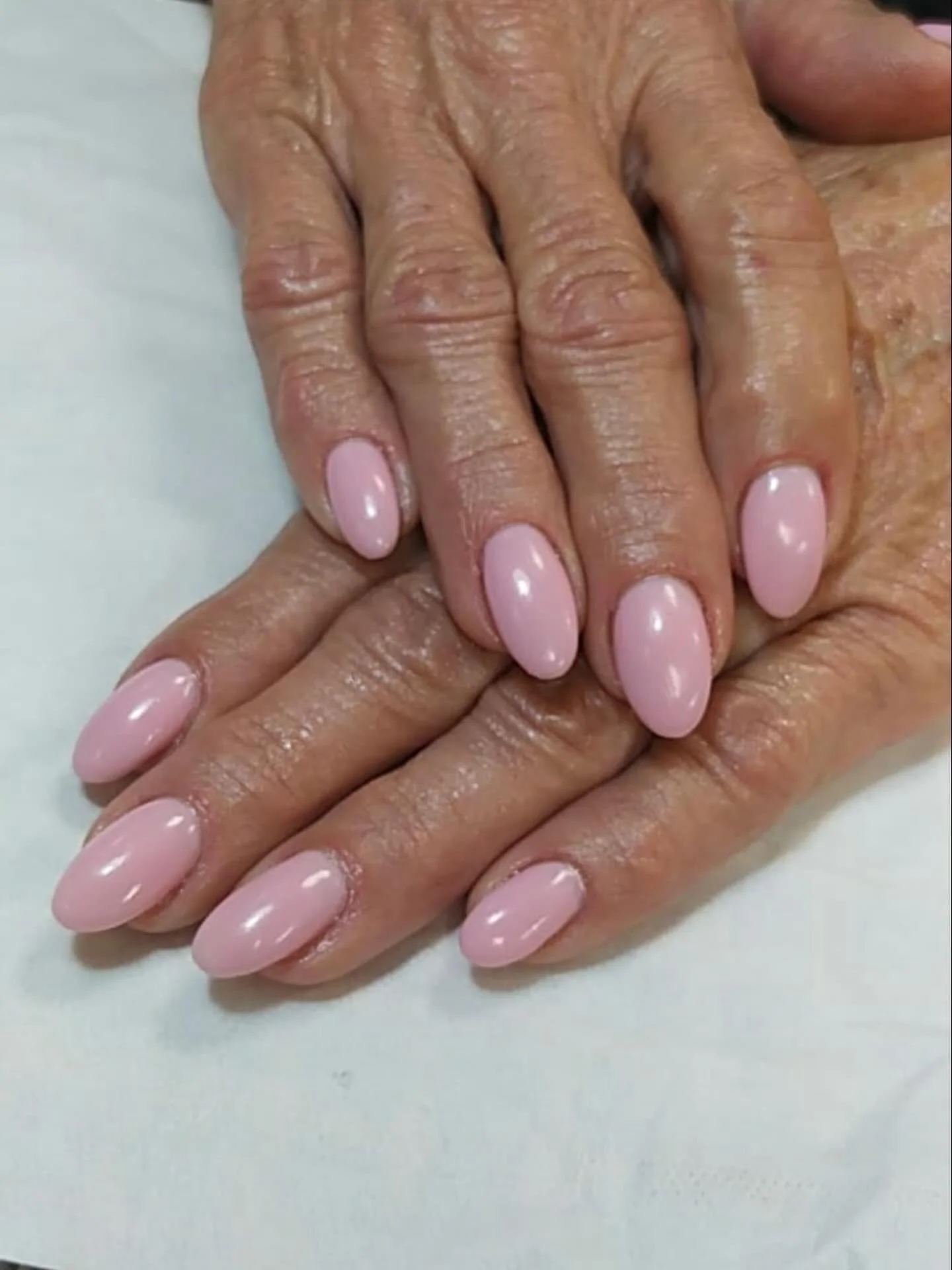 Spring colors in full bloom 🌸