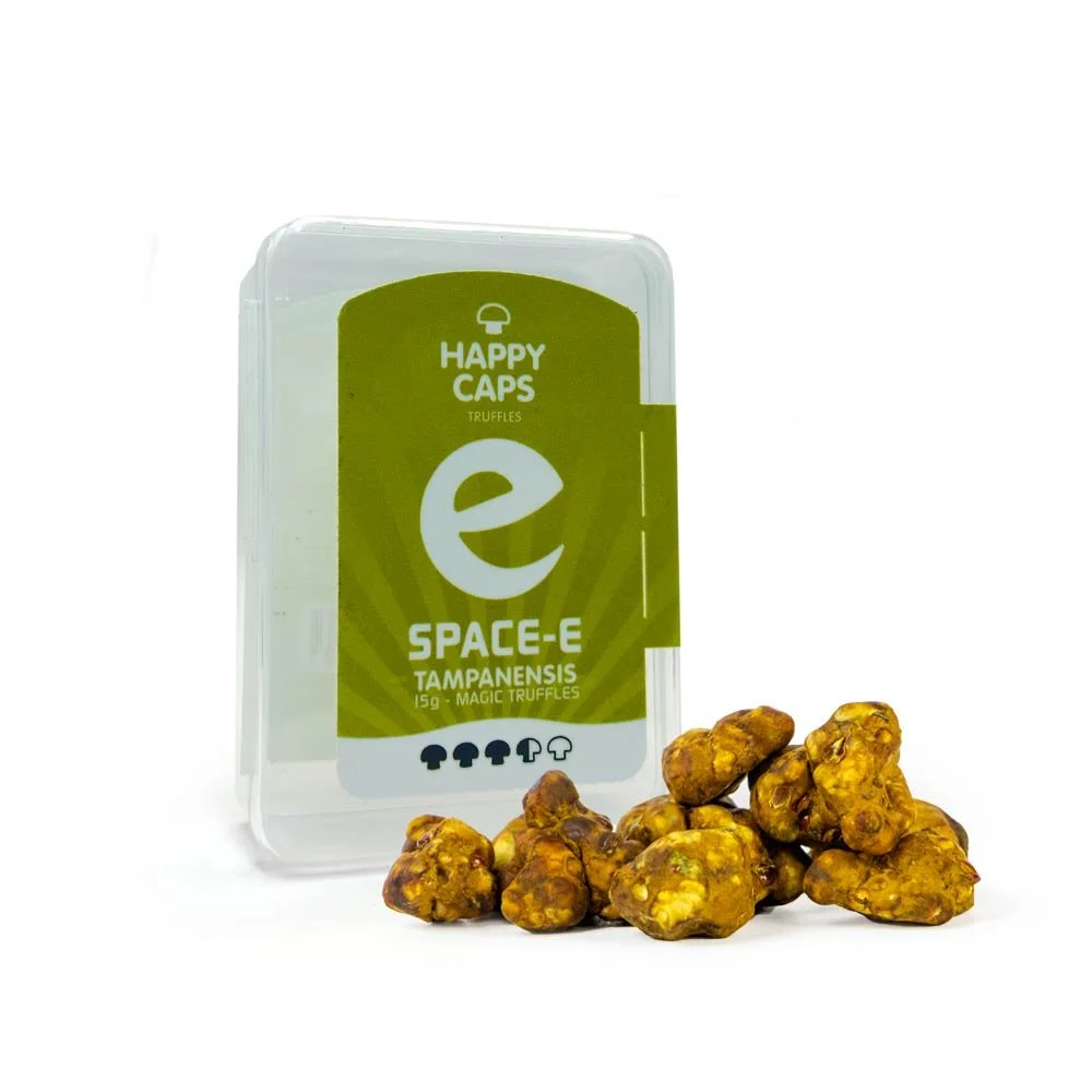 Happy Caps - Magic Truffles - SPACE-E TAMPANENSIS TRUFFLES