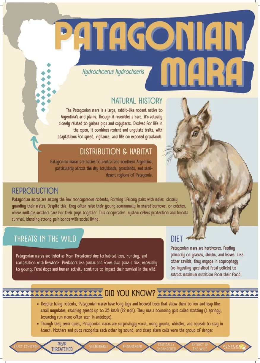 Animal enclosure signage for Patagonian mara