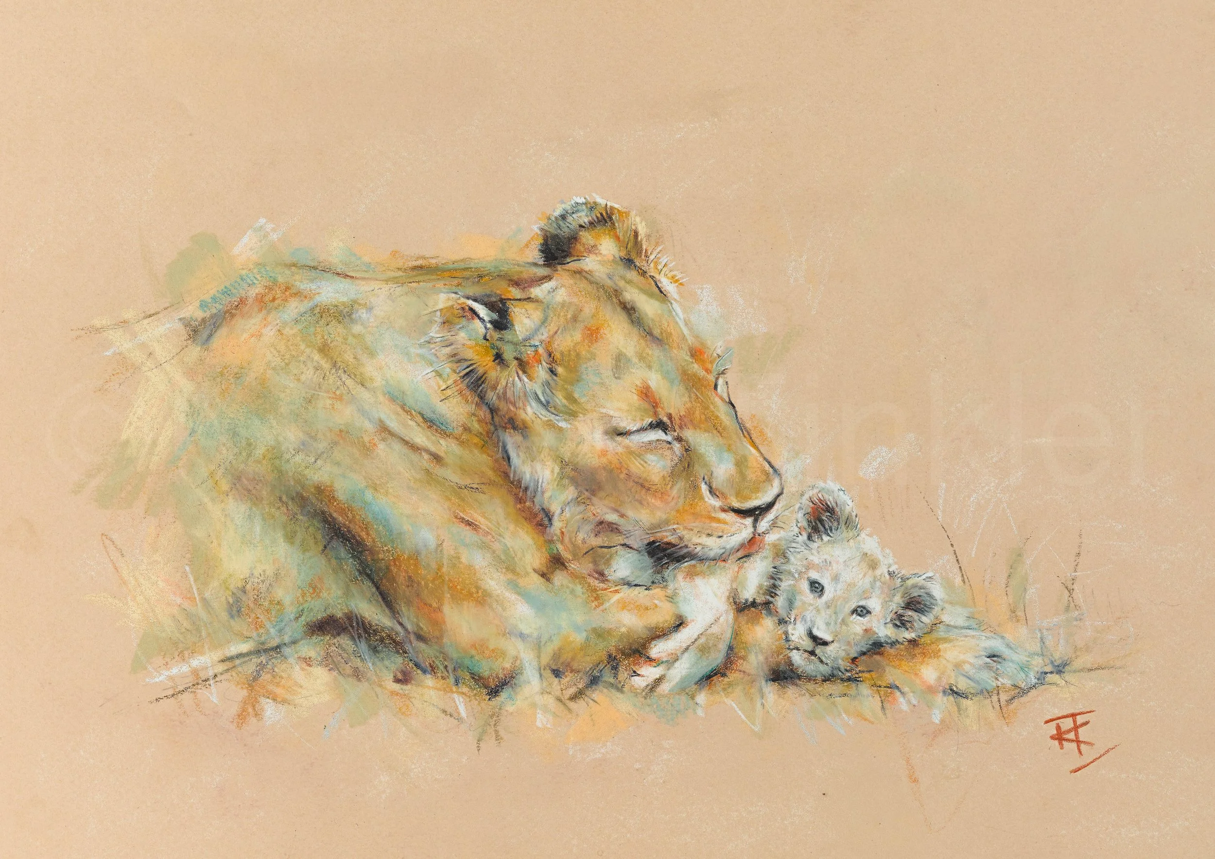 White Lion Cub