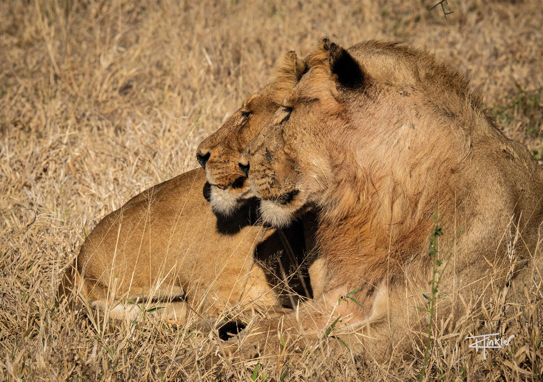 Landscape final72.jpg