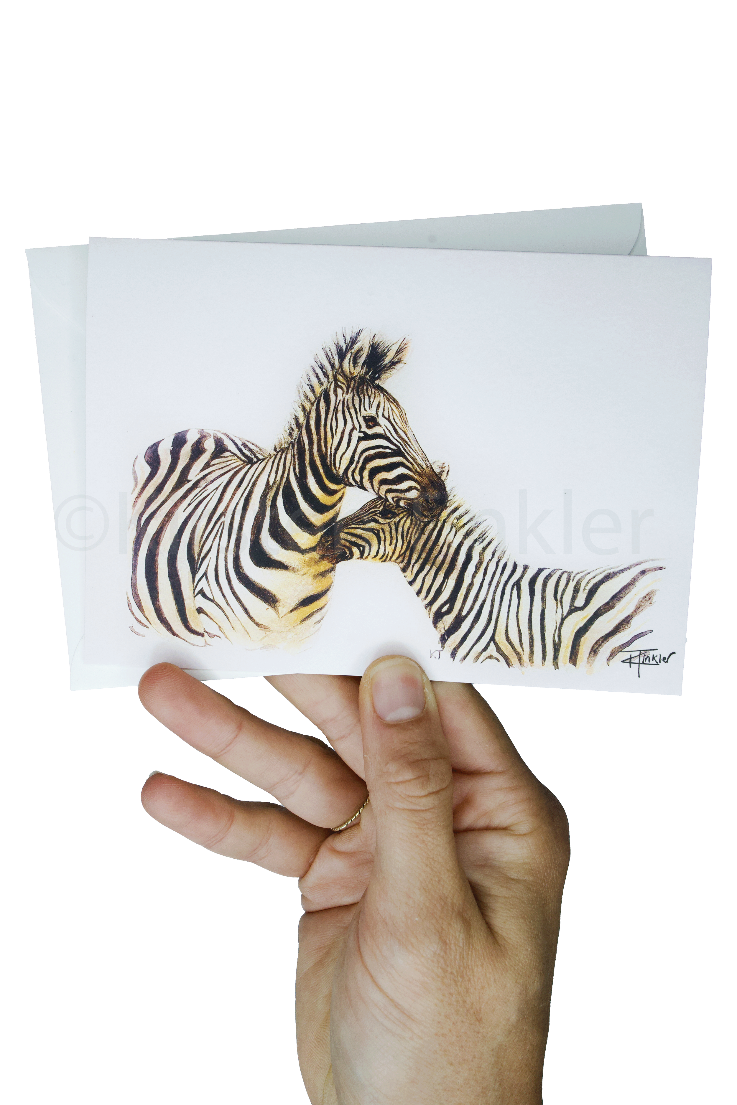 Painted Zebras